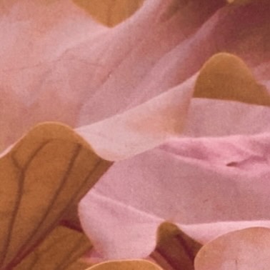 • 🌸 •
Aujourd’hui n’est pas un jour comme les autres.
C’est le printemps.
Et ancestralement, c’est ici que tout recommençait.
Le véritable nouvel an.
Le moment où la vie renaît.
Où la nature se réveille.
Où tout redevient possible.
Personnellement, je ressens cet élan mais j’ai aussi une fatigue accumulée d’un hiver qui n’a pas été aussi lent et doux que j’en aurais eu besoin.
C’est pour cela que malgré l’énergie qui remonte, j’ai envie de nous inviter à prendre grand soin de nous.
Oui à la légèreté, la créativité, le mouvement.
Oui à honorer ce passage tout en s’offrant des espaces pour ralentir.
Pour revenir à soi.
Respirer.
Se déposer.
Se reposer.
Redécouvrir son féminin en sécurité.
Des espaces où la douceur n’est pas une faiblesse, mais une force.
Et non, une pratique de temps en temps ne suffit pas.
Une nourriture saine avec des fruits et des légumes est nécessaire quotidiennement.
Il en est de même pour notre santé mentale.
J’ai besoin de m’offrir régulièrement des moments de régénération et je suis très heureuse de vous amener avec moi…
🌸 vendredi 27 mars de 18h30 à 20h30
Breathwork et nidra avec @feetonzarbiayoga au @laabstudio_
🌸 dimanche 29 mars de 10h30 à 12h
Rituel « un temps pour soi » sur Zoom
🌸 samedi 25 avril de 11h à 12h
Yoga Nidra au @puymarteauspa
🌸 dimanche 26 avril de 10h30 à 12h
Rituel « un temps pour soi » sur Zoom
🌸 du vendredi 8 au dimanche 10 mai
Retraite de printemps au domaine @oasisdelaube en Dordogne avec @annesophiebender_photographe @elodie_mila_pro et la participation de @madamepaquerette pour le Yoni spa
🌸 vendredi 22 mai de 20h30 à 22h
Rituel « un temps pour soi » sur Zoom
🌸 vendredi 5 juin de 19h à 21h
Cérémonie du cacao avec @benlardeux au Handpan dans l’espace @espaceanahatayoga
🌸 samedi 27 juin de 16h à 17h30
yin et nidra au @yatrayoga.festival
J’aurai aussi un stand avec mes créations en vente !
La suite arrive bientôt aussi pour l’été…
Ca parlera notamment de 🐬 avec @kaimana_marina …
Je suis si excitée !
J’ai tellement hâte de vivre tous ces bons moments avec vous 🙏🏼❤️
Merci pour votre confiance.
Avec tout mon amour,
Anaïs