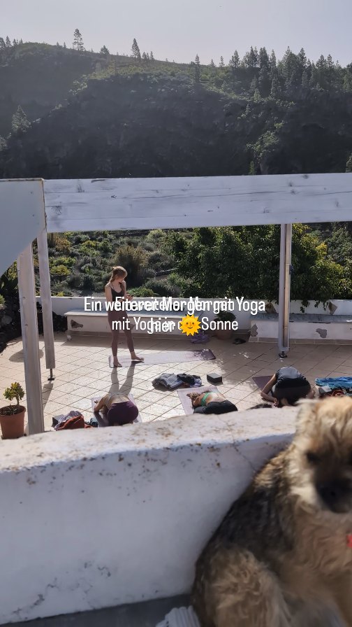 Ein weiterer Tag mit Yoga am Morgen, in der Sonne, mit Blick in die Natur 🌞
Wenn du das auch erleben möchtest
Inner-you der/retreats
#yogaretreatteneriffa #yogateneriffa #yogaretreat #frauenretreat
