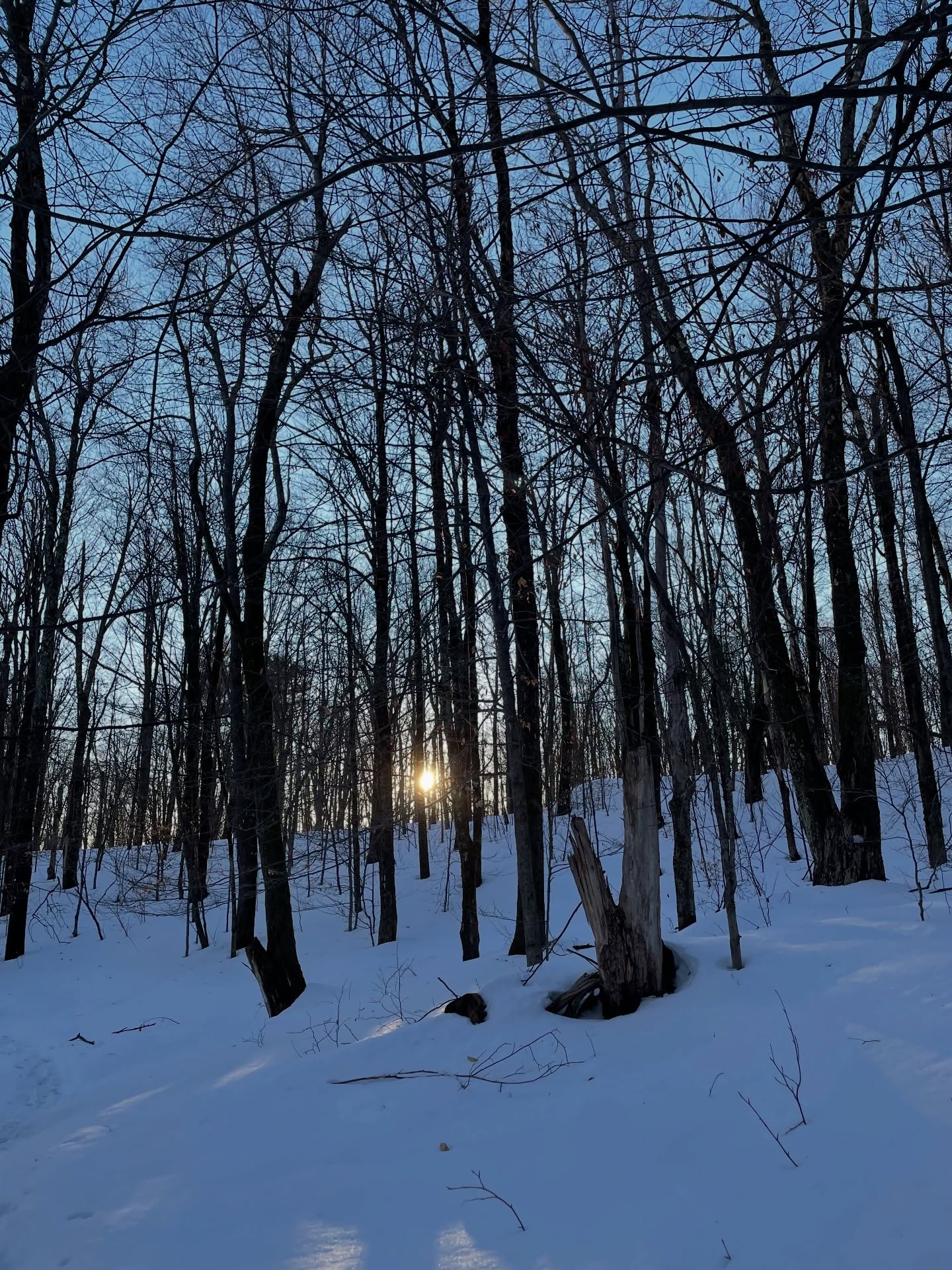 And the light returns
And I remember
I’m alive
Even under blankets of snow and black ink nights and sharp frozen things
Even then- there’s power
and potential
Like the human spirit
Buried under oppression and confusion
Personal and collective magic lost
In the fog and the illusion
Of normalcy or rules or fear
Remembered - as just enough light returns
As if waking from heavy slumber
Sobering up
I was always strong- I was always resilient
It’s my human nature
Welcome back light
Within and without
#mentalhealthpoetry #poetryformentalhealth #returnofthelight #seasonaldepression #mentalhealth