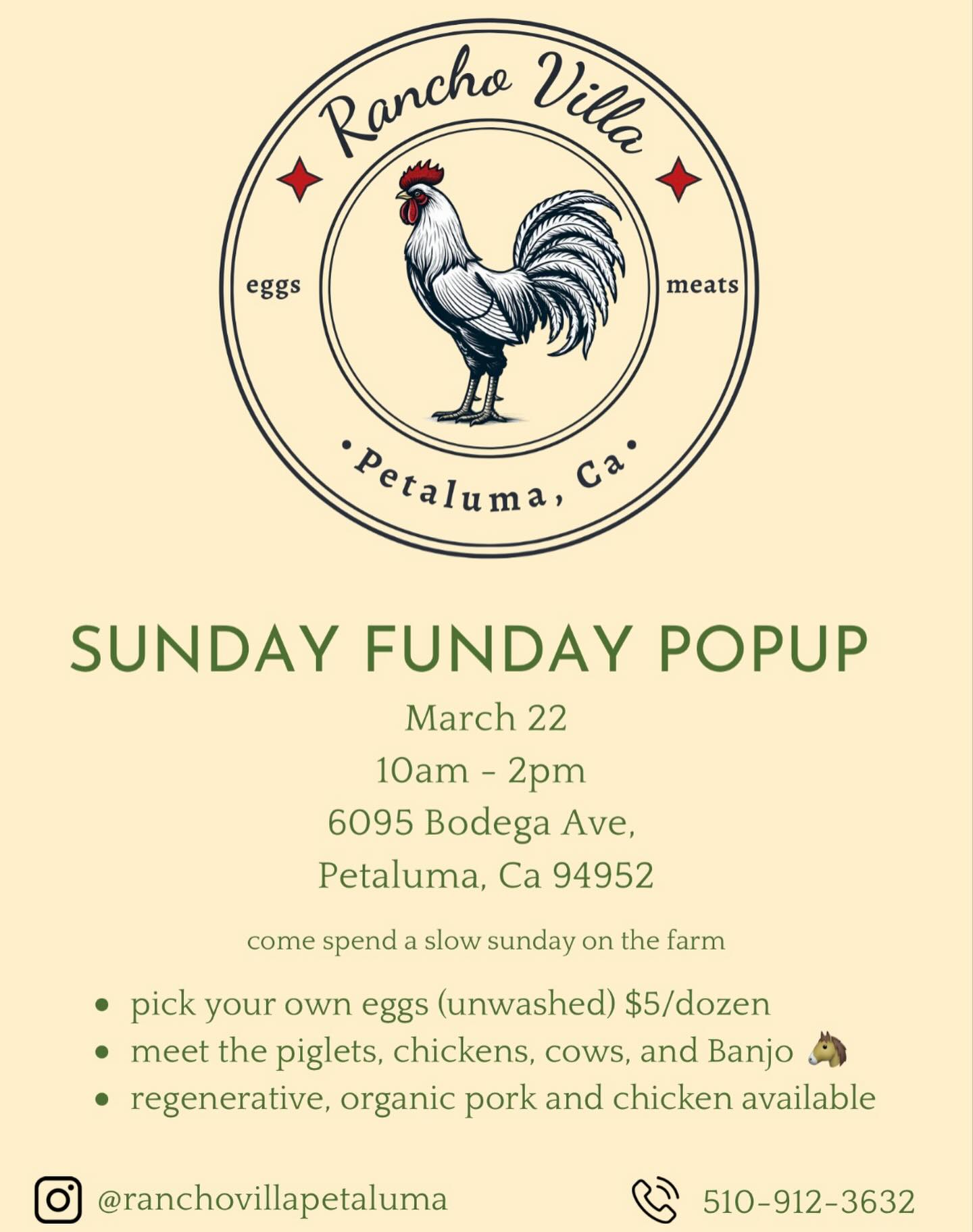 If you are reading this youβre invited to Sunday Funday on the farm this Sunday!!!!
Come ground yourself β€οΈππβοΈ
#SundayFunday
#FarmDay
#SupportLocalFarmers
#RegenerativeFarming
#KnowYourFarmer