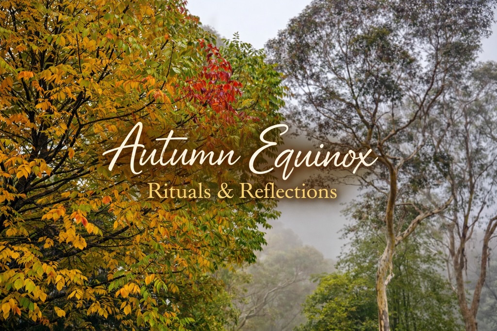 I went for a walk this morning and felt the first real hint of autumn 🍂
I noticed the leaves changing for the first time this year.
The first image is from Mount Street in #Leura… it just caught my eye and made me stop for a moment.
This was actually going to be a podcast, but I haven’t had time to record it… so I’ve turned it into a blog instead.
It’s a deeper look at the Autumn Equinox and how I work with this season in my own life.
There are a few simple rituals, some journaling prompts, an idea for creating a little autumn altar at home… and a cosy recipe I’ve been making… Autumn Alchemy in a Cup ☕️
It’s something you can come back to over the next few weeks as the season settles in.
Link in bio 🌿 or below for Facebook
https://www.theawenroom.com.au/post/autumn-equinox-rituals-and-reflections
#autumnequinox #thewitchesjournal #bluemountainslife #aussiewitches