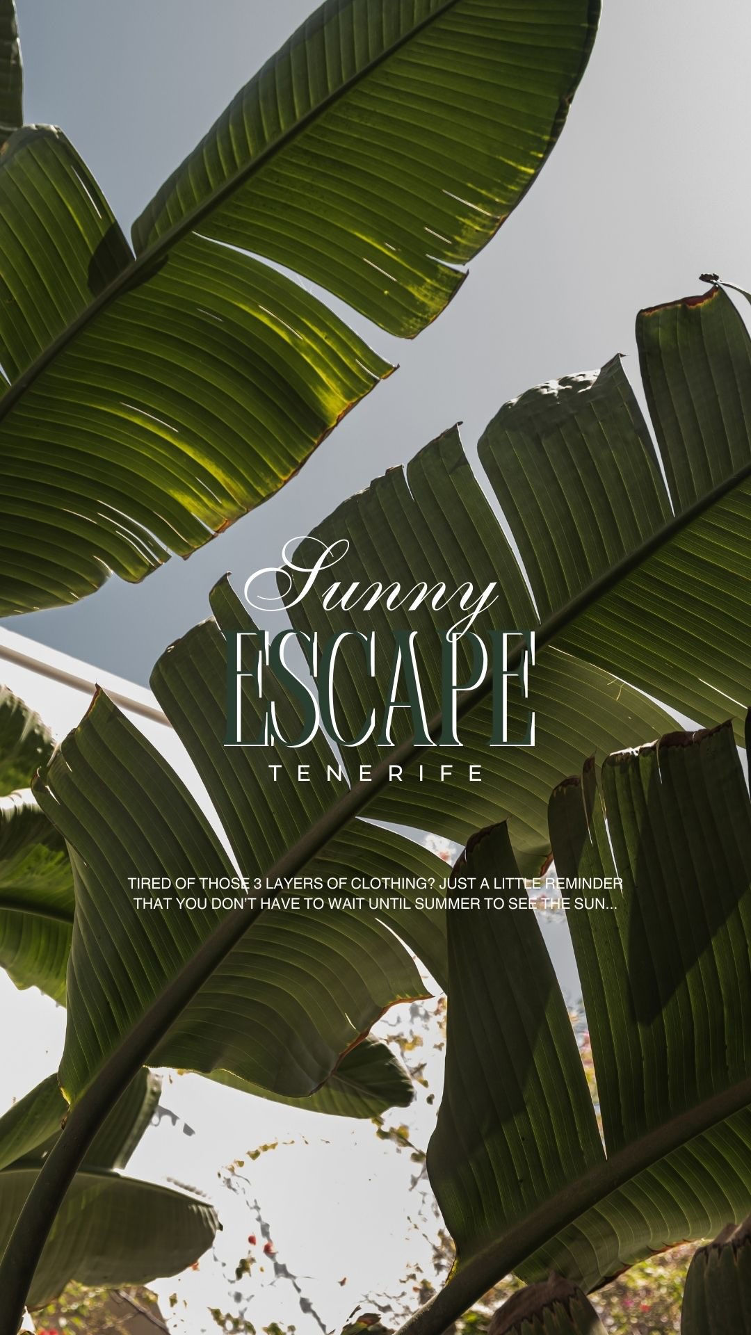 April called… it said you deserve better weather 🌞
We listened… and made a few April stays slightly more irresistible 🌸🌊
A handful of last-minute Easter stays just opened up for a sun-drenched April.
___
#visittenerife #luxuryholidayrentals #vakantieappartement #easterholiday #tenerifeholiday
• Boutique vacation rentals Tenerife, Luxury apartment Tenerife, luxury holiday apartment Tenerife, sea view, private heated pool, Los Gigantes