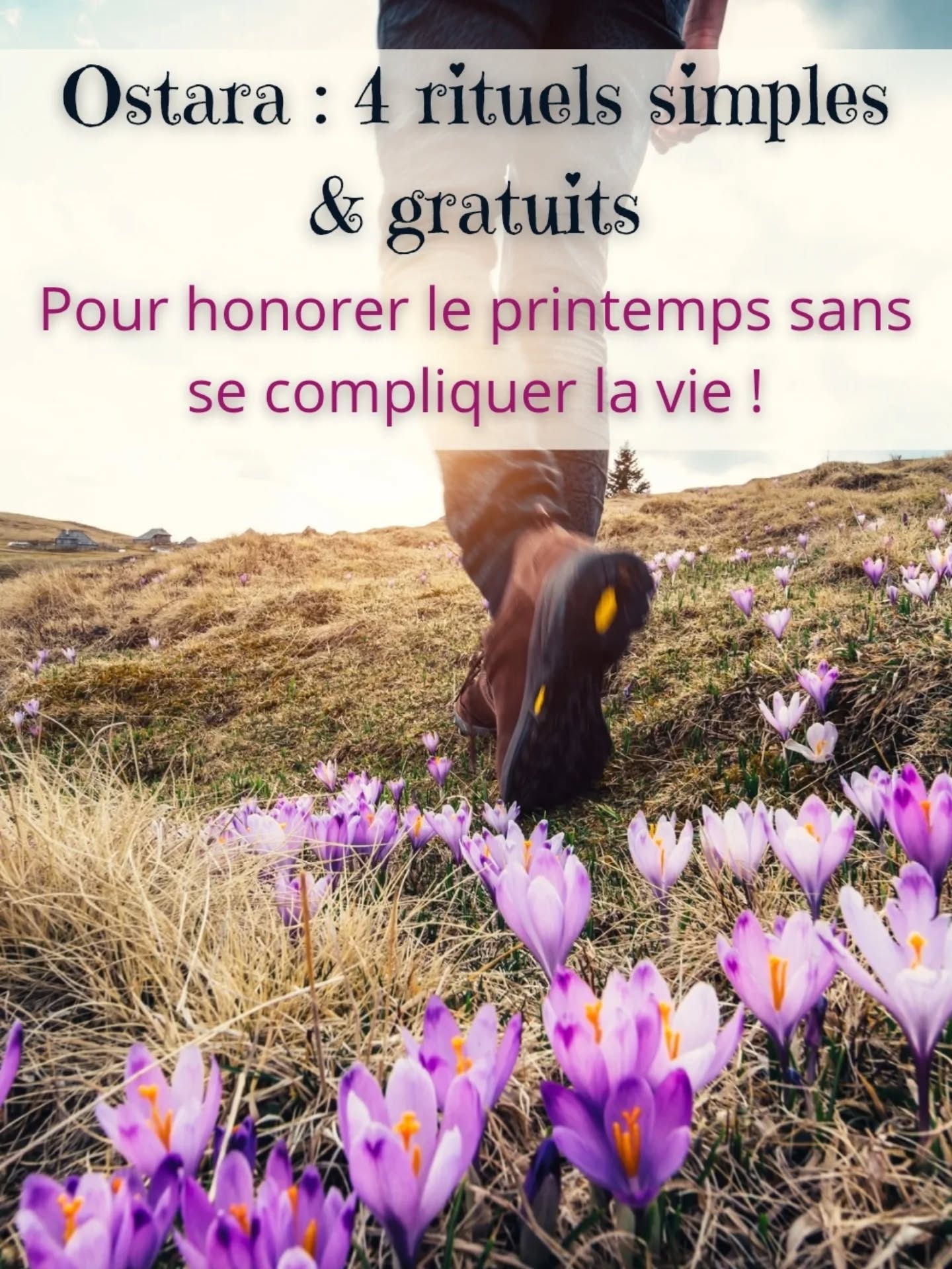 Pas besoin de rituel compliqué pour célébrer Ostara.
→ créer un coin d’autel avec ce que tu as
→ sortir toucher la nature
→ poser une intention simple
→ remercier la Terre
C’est tout.
On oublie parfois que la magie, ce n’est pas une question d'accumulation. Mais une question de présence.
🌸 Ostara, c’est le moment parfait pour revenir à l’essentiel !
Si ce post t'a inspiré.e, laisse-moi un emoji qui symbolise Ostara pour toi en commentaire !