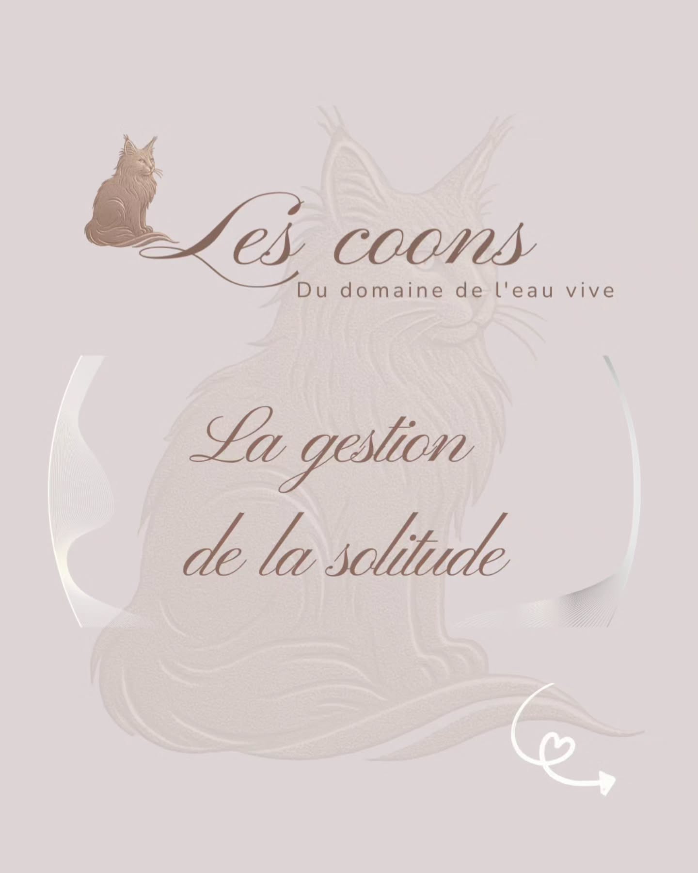 Même s’il est indépendant, le Maine Coon supporte mal la solitude prolongée.
Interactions, jeux et présence sont essentiels pour son équilibre 😻
Avec passion 🤍
Carine Zimmermann
Éleveuse de Maine Coons
Affiliée au Cat Club Romand
Domaine de l’eau vive
1724 Bonnefontaine
+41 79 281 93 88
www.lescoons.ch
#mainecoon #mainecoonlife #bienetrechat #chatheureux #chatmainecoon