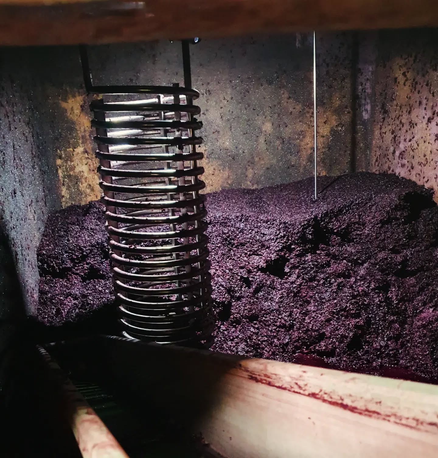 Fin des vinifications de nos vins rouges de garde. Après 3 mois passés dans le cuvier, les vins attaquent la période d'élevage.
#vendanges