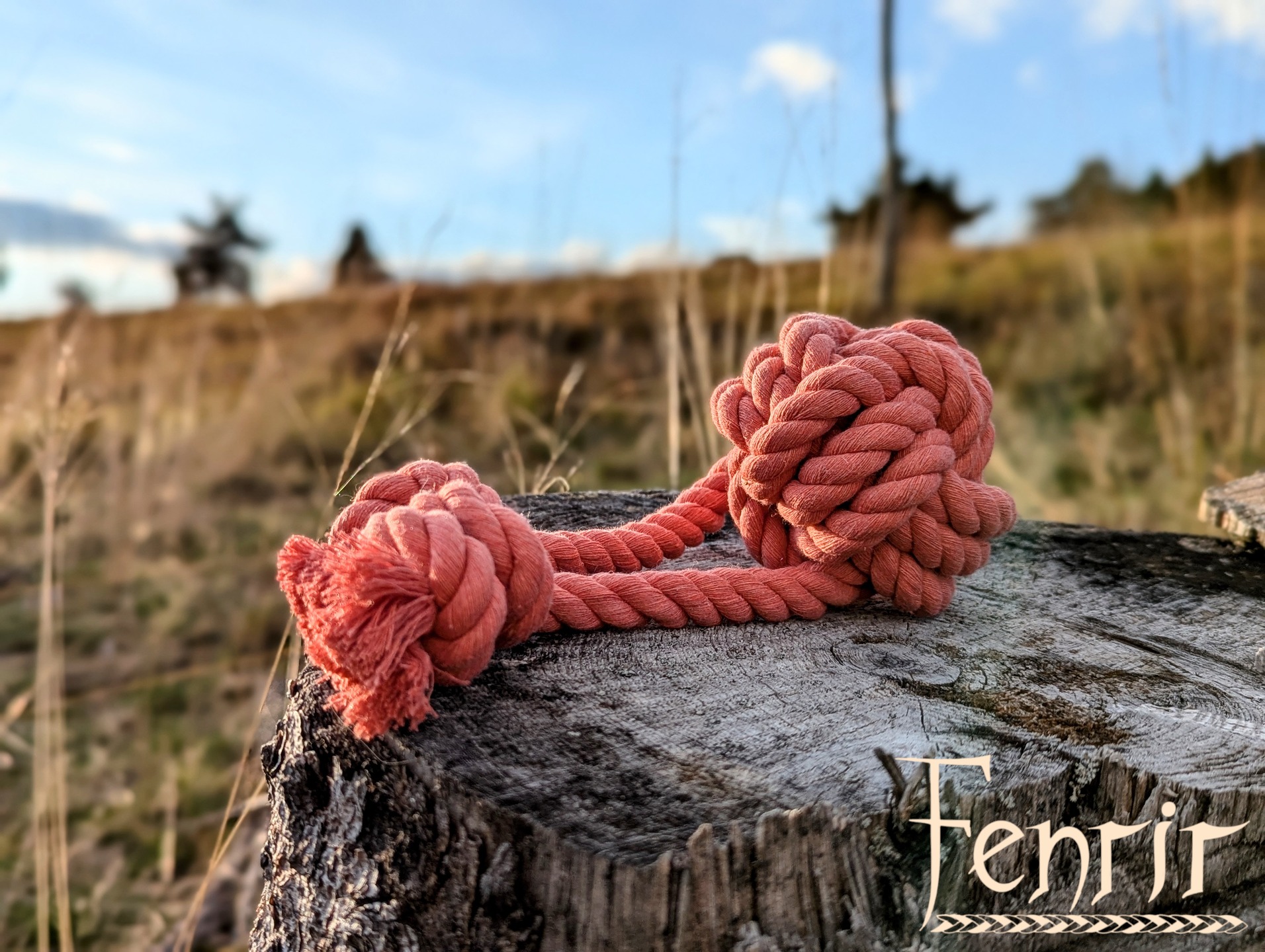 Es ist soweit! Fenrir geht auf seine erste Hundemesse.
Vom 31.10-1.11.26 sind wir in Mannheim auf der @meinhundmesse anzutreffen. Wir freuen uns auf euch!🎉
#messe #smallbusiness #handmadewithlove #fenrir #baumwolle #spielzeug #hundeliebe #coral #mannheim