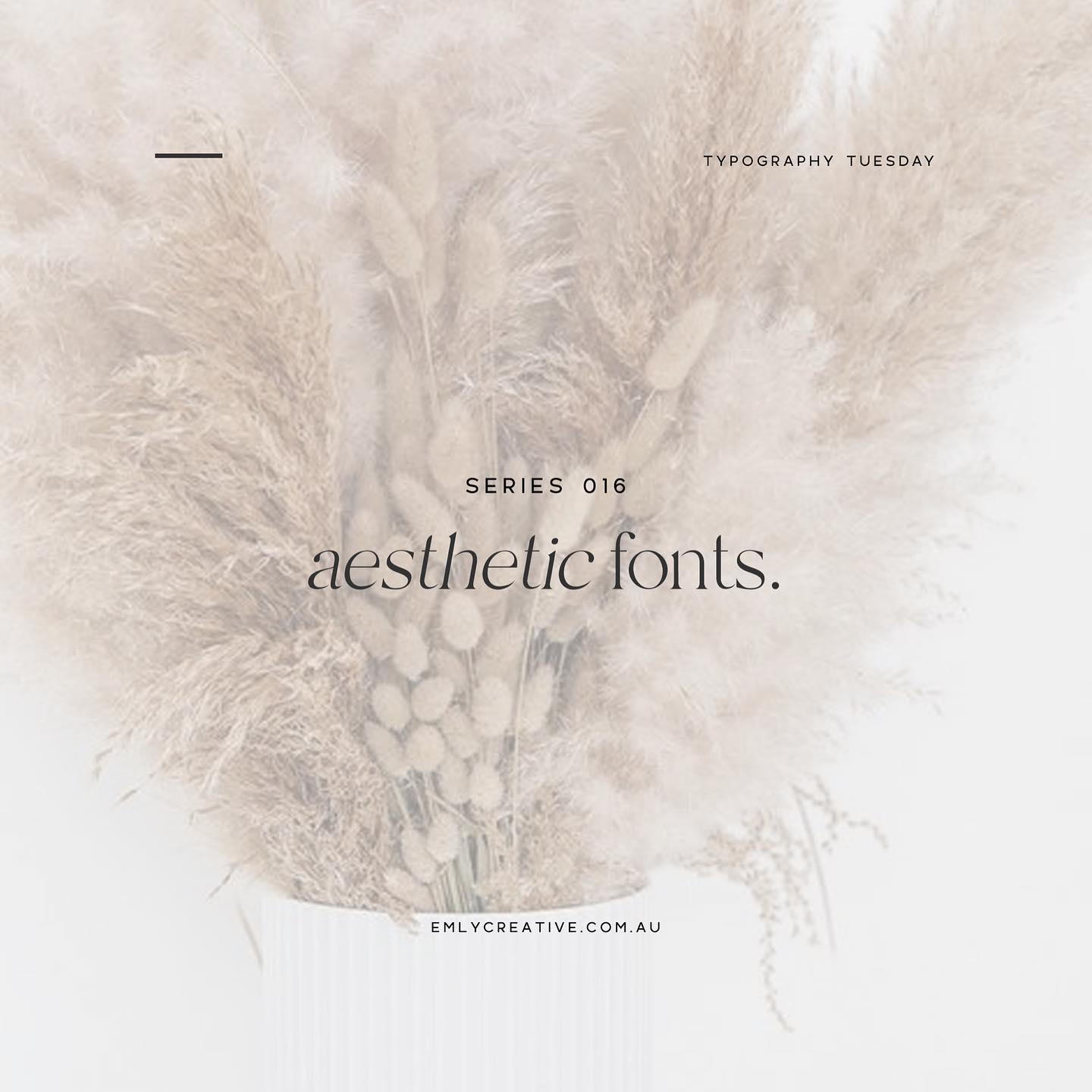 Typography Tuesday • Some amazing cursive, script style fonts to brighten your day. 🤍
⠀⠀⠀⠀⠀⠀⠀⠀⠀
Cursive fonts are perfect for the following applications:
• Wedding Stationary
• Decorative Accents
• To increase feminine qualities within your brand.
⠀⠀⠀⠀⠀⠀⠀⠀⠀
This is of course, always dependant on the context of the project - especially within branding. Script/cursive writing is highly expressive and often communicates a delicate, personalised touch.
⠀⠀⠀⠀⠀⠀⠀⠀⠀
-
⠀⠀⠀⠀⠀⠀⠀⠀⠀
#graphicdesignmelbourne #brandreveal #melbournegraphicdesign #melbournegraphicdesigner #melbournebrand #brandingdesign #brandingagency #brandinginspiration #brandingtips #visualstorytelling #brandingexpert #brandingconsultant