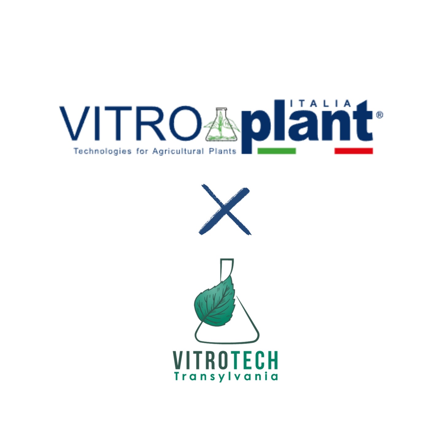 (RO) Un nou capitol pentru micropropagarea plantelor în România.
Vitrotech Transylvania anunță încheierea unui acord de colaborare cu Vitroplant Italia, unul dintre cele mai importante laboratoare de micropropagare din Europa.
Acest parteneriat strategic aduce împreună expertiza, know-how-ul și o viziune comună pentru dezvoltarea biotehnologiei vegetale și pentru creșterea standardelor de producție a plantelor de înaltă calitate în România.
Suntem onorați să colaborăm cu un partener aflat în topul european al micropropagării și privim cu încredere către oportunitățile pe care această colaborare le va crea.
(EN) A new chapter for plant micropropagation in Romania.
Vitrotech Transylvania announces the signing of a collaboration agreement with Vitroplant Italia, one of the leading micropropagation laboratories in Europe.
This strategic partnership brings together expertise, technical know-how, and a shared vision for advancing plant biotechnology and raising the standards of high-quality plant production in Romania.
We are proud to collaborate with a company positioned among the European leaders in micropropagation and look forward to the opportunities this partnership will create.
#micropropagation #plantbiotechnology #agriculture #biotehnologie