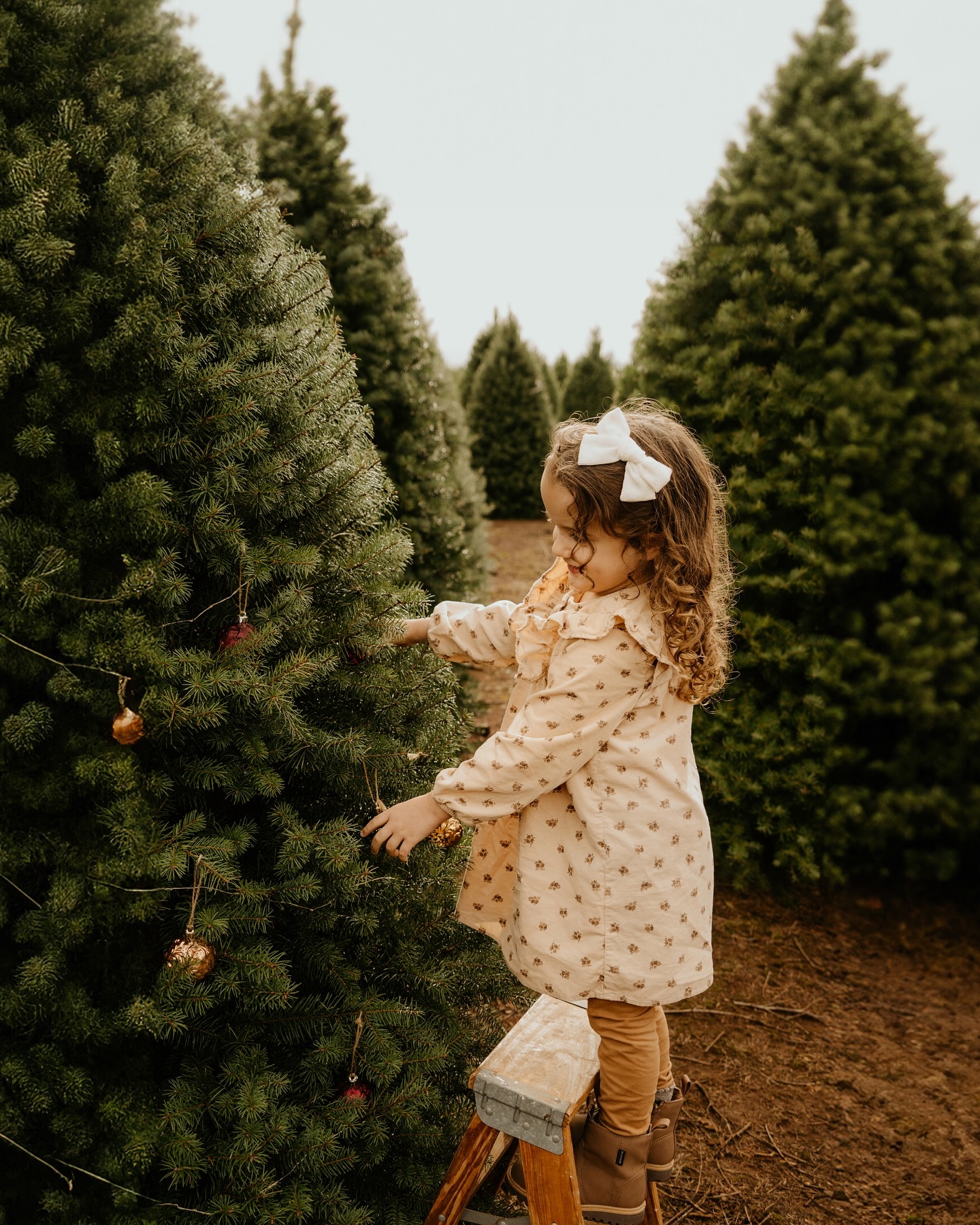 103 days till Christmas! π
Come grab a spot at my Christmas Mini Sessions in November! These quick sessions are great for Christmas cards and making fun holiday memories with your family β€οΈπ·β¨
This year Iβm offering sessions at a tree farm in Salem @tree_kings_oregon AND an indoor studio in downtown Salem @studio22.salem π€
14 spots out of 20 left thanks to my lovely pre-registered clients. Hurry to get your spot reserved ππ
π» Link in my bio!
#christmas #christmastreefarm #christmastree #minisession #oregonphotographer #holiday #familyphotos #christmascards #willamettevalley #christmasminis #indoorstudio