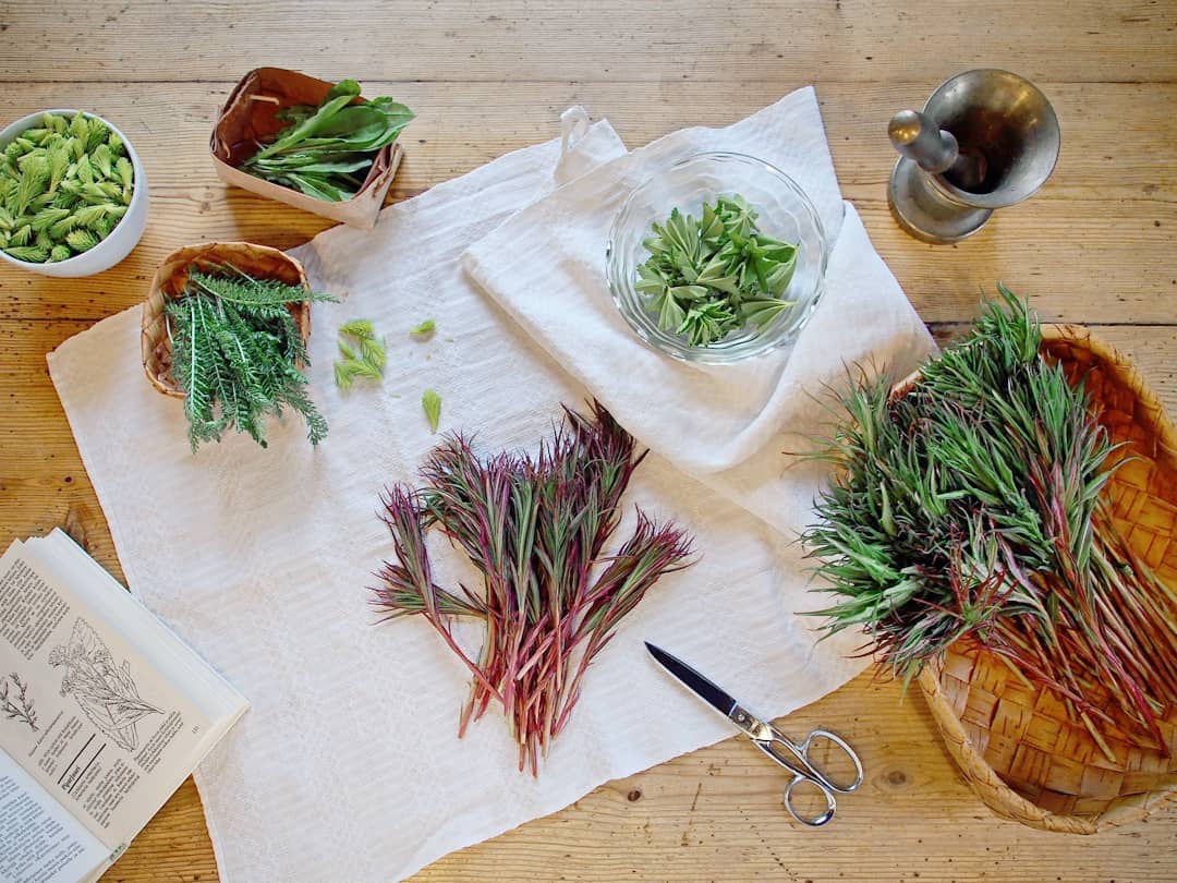 The wild herb season is on🌱🌿🍀💚 We offer a course on which you can learn about local wild herbs, how to identify, harvest and use them in cooking. The course is now available for booking at doerz.com @thedoerz
Green treasures await to be discovered! 😊
Direct link:
https://www.doerz.com/ilomantsi/wild-herb-course-in-ilomantsi?list_id=26
#wildherbs #wildfood #villiruoka #villiyrtti #villivihannekset #wildkräuter #outdooractivities #luontoonfi #maalla #kotimaassa #visitkarelia #puustilanmaisematila #yrtti #herbs #kräuter #doerz