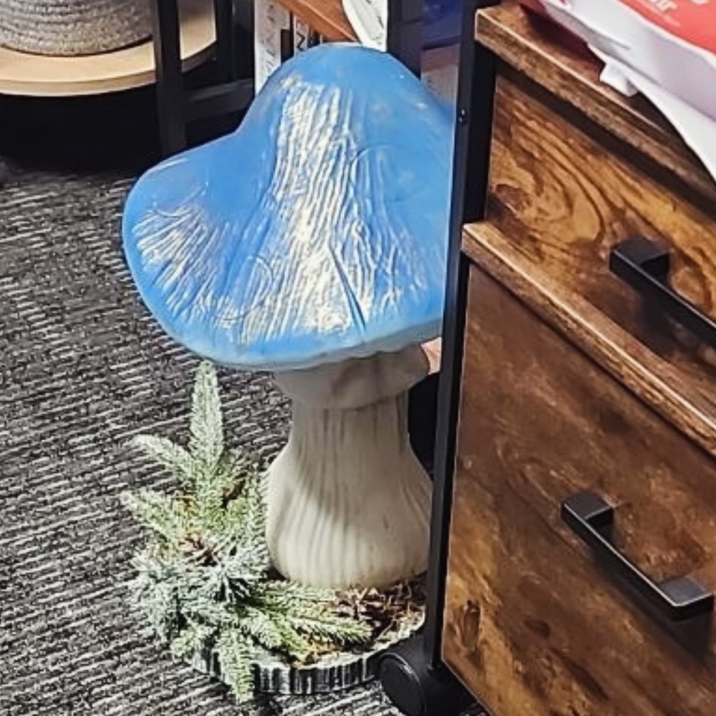 Took winter off a Christmas gift so I could use it all year.