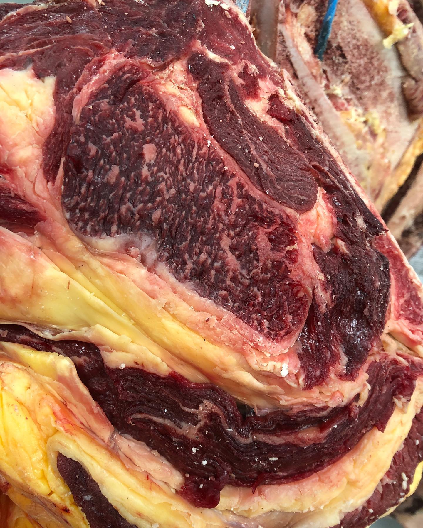 Je suis Persillée, j’ai un joli gras jaune, je suis Montbéliarde. Merci à nos éleveurs de produire de si belles beautés.#viandesmaturees #corbas #boucherielyonnaiseorigine