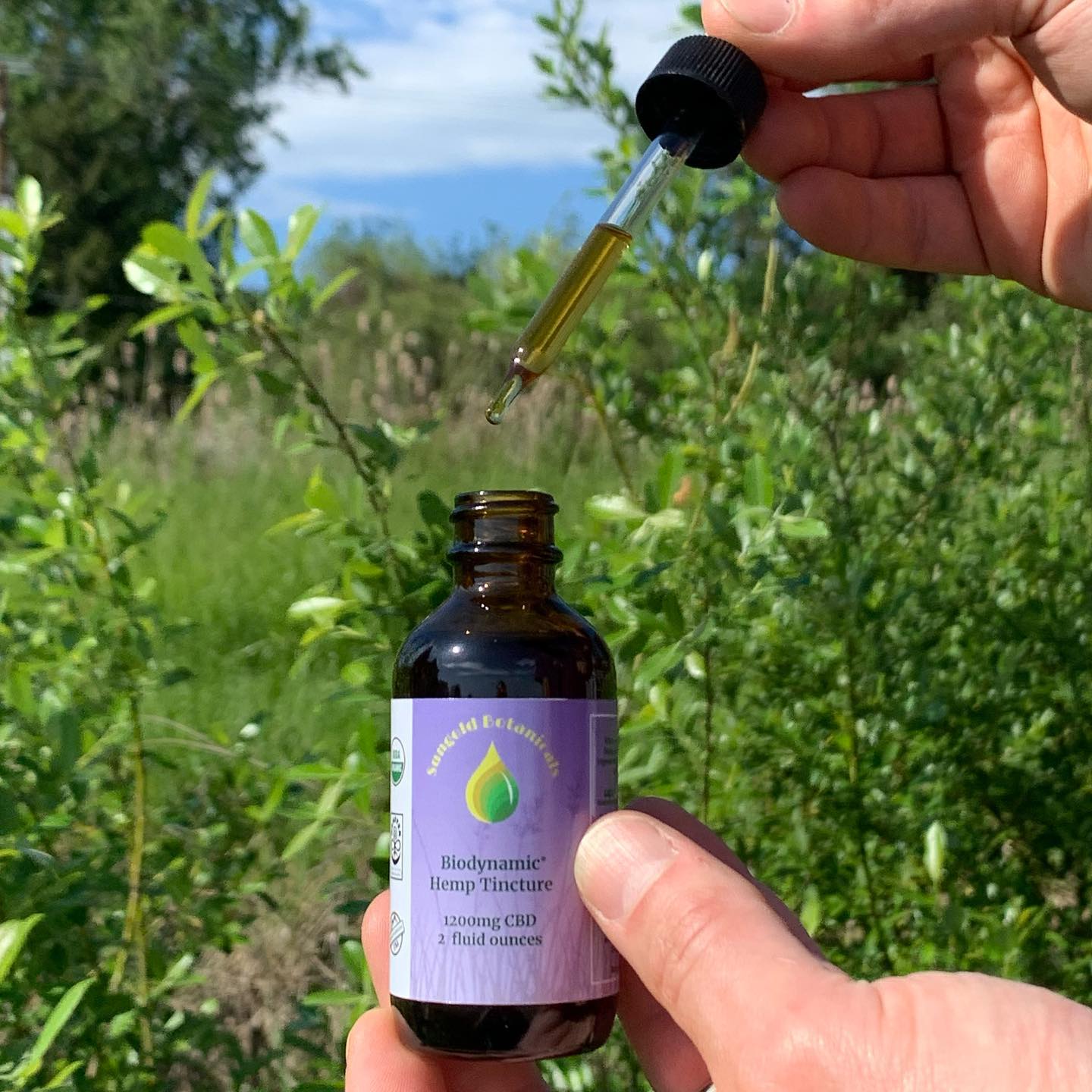 Our crowning achievement: Certified Biodynamic Hemp Tincture. 100% GROWN AND MADE BY US. A new model for sustainable, medicinal products. Now available on our website and starting in June at the Corvallis Farmers Market. #biodynamic #certifiedbiodynamic #sustainableagriculture #organic #hemptincture #oregonmade #oregonhemp #corvallisoregon #philomathoregon #willamettevalleygrown #usdaorganic #biodynamics #smallbusiness #damnproud #sunfloweroil