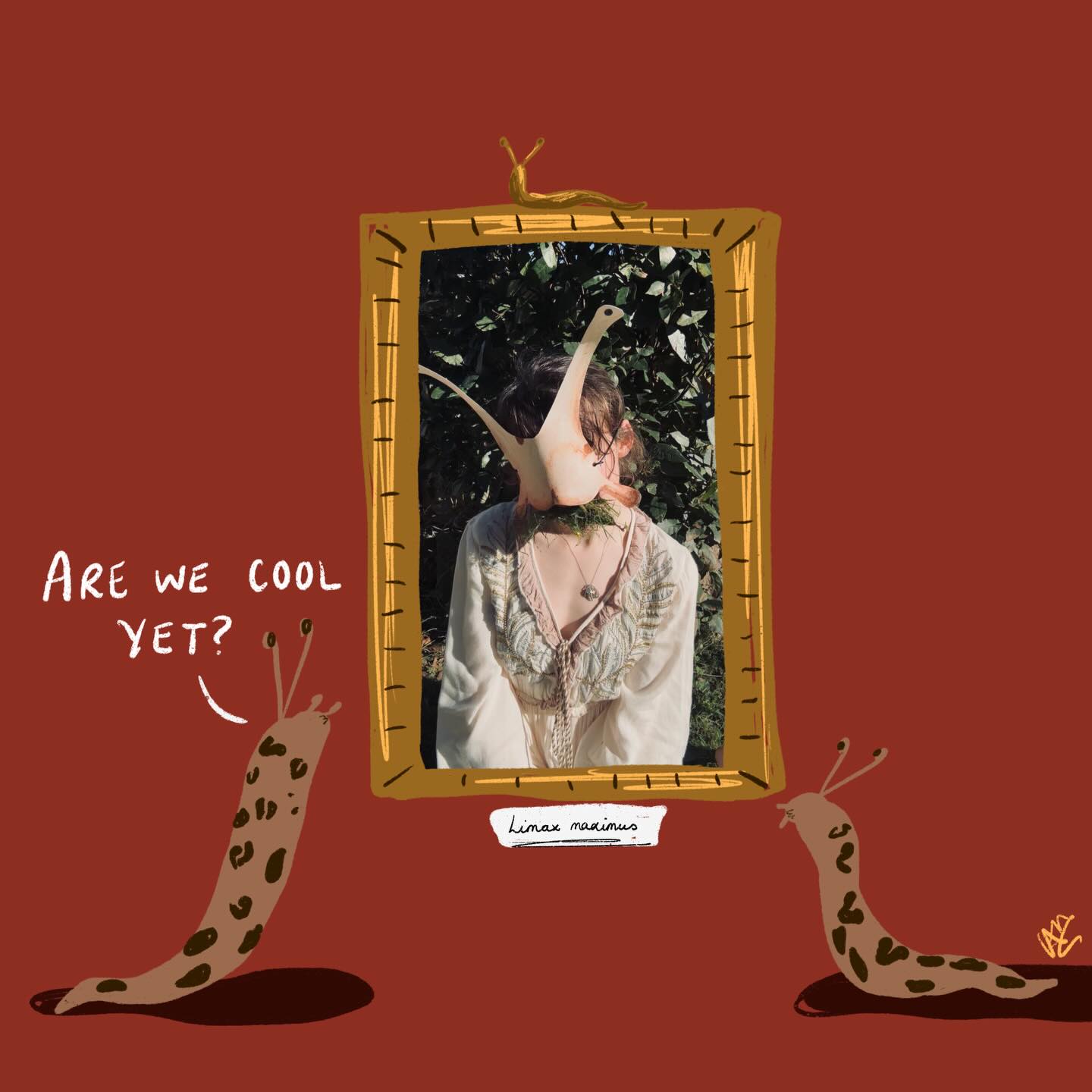 𝐿𝒾𝓂𝒶𝓍 𝓂𝒶𝓍𝒾𝓂𝓊𝓈 - the Leopard Slug
Big, Slimey, Spotty, … Cute?
Slugs have such a terrible reputation because of their monchin & cronchin habits, but leopard slugs are actually incredibly cool, and even might help your garden!
They mostly eat decaying plant matter (rather than fresh leaves) & they’re also carnivorous, and will eat other slugs !!
Plus, they’ve got pretty spicy $ex lives - suspended from an aerial mucus trapeze string!
Swipe for the outtake of me dealing with the repercussions of putting a lot of cut grass in my mouth 👄
.
.
.
#slug #leopardslug #nature #art #artist | wildlife artivism | wildlife | @studiobluegreenhq @bbcspringwatch @bbcwildlifemagazine @bbcearth @dswfwildlifeart @buglife_ict