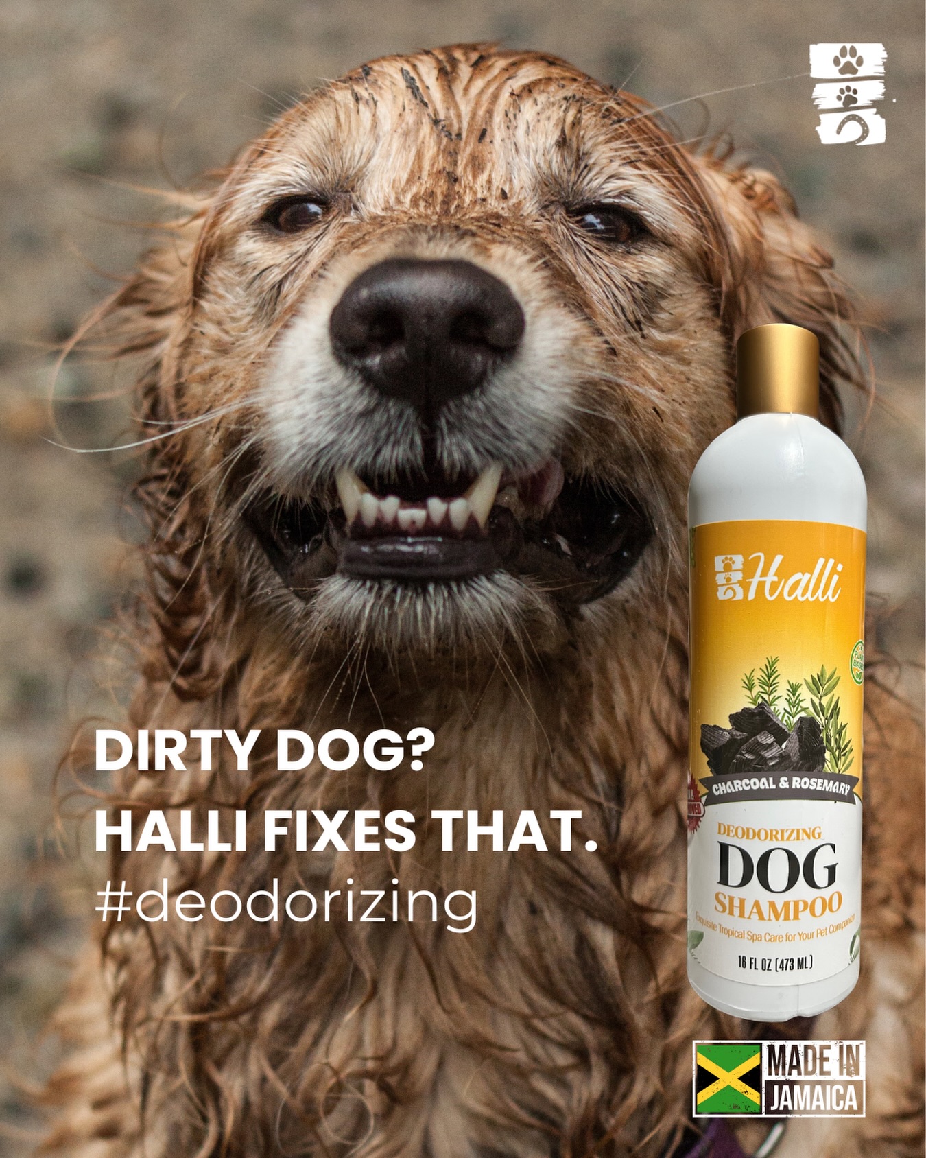 Where there’s rain, there’s mud. Where there’s mud, there’s your dog, ready to get aaallll up in it 🐷😩😩
Luckily, our Halli Charcoal & Rosemary plant-based shampoo deep cleans and deodorizes your pet, so you don’t have to worry about that wet dog smell anymore! 🙌🏾🙌🏾
Order on our website at www.hallipetcare.com or pick up a bottle from one of our retailers:
@gfoodsupermarket.liguanea
@allpetsvetclinic876
@hiprosupercentre
Super Pet & Garden Centre
#madeinjamaica🇯🇲
