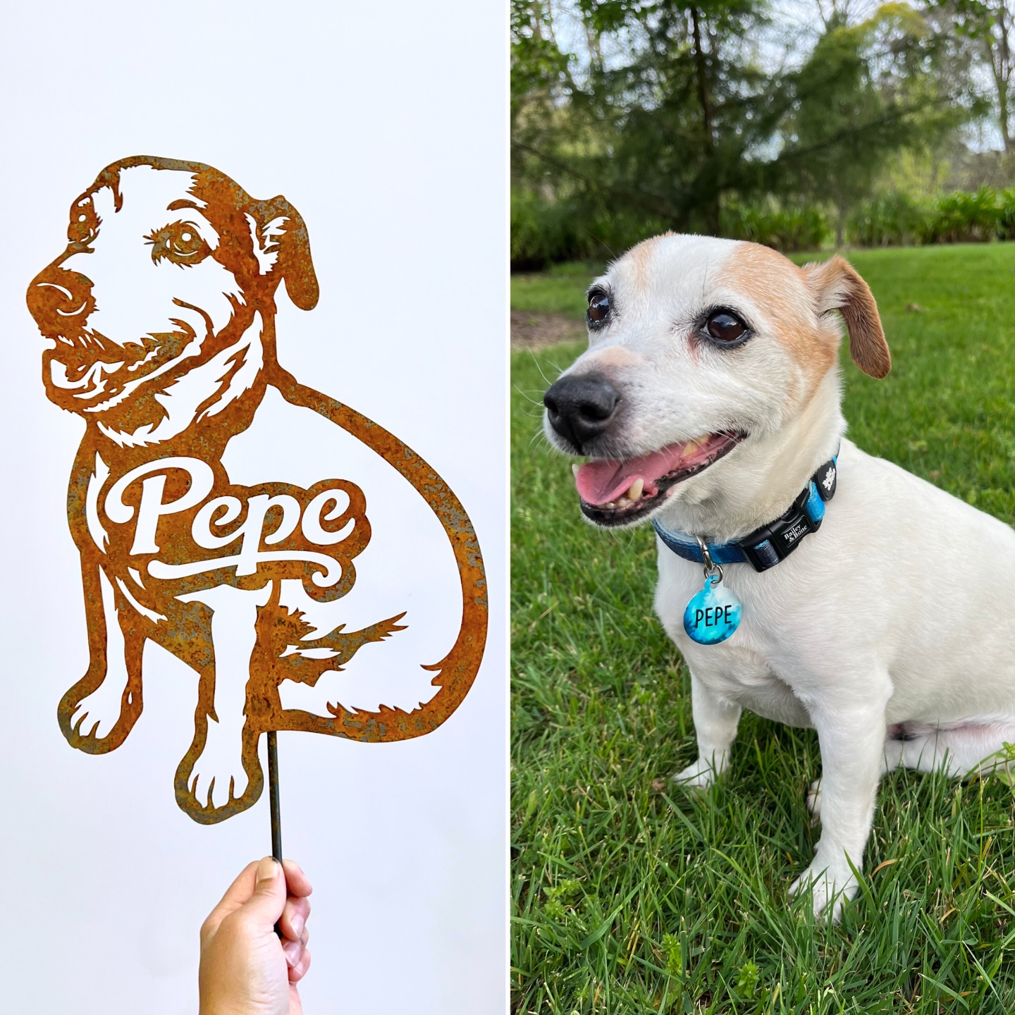 Our dogs aren’t like our children. They ARE our children.
Yet unlike parents of human children, we step into pet ownership knowing one quiet truth: We will likely outlive them. Just as we did the ones before. And just as we will the ones after.
For parents of human children, losing a child is thankfully rare.
For parents of furred children, grief can visit repeatedly.
Imagine every 10-15 years losing a child.
The one you provided for.
The one you taught tricks to.
The one whose Christmas presents you wrapped, whose favourite meal you bought for their birthday.
In society, pet grief is often misunderstood and underrepresented. The pain is no less real, yet support is scarce. The bereavement leave nonexistent. The loss quietly overlooked.
Human children grow and gain independence. They rely on their parents less and less as their journey unfolds. But from the day our pets arrive, to the day we say goodbye, they rely on us for everything.
That kind of bond is rare. That kind of love is profound. And that kind of grief deserves recognition.
At Mia Cooper & Co, it’s why we do what we do 🤍