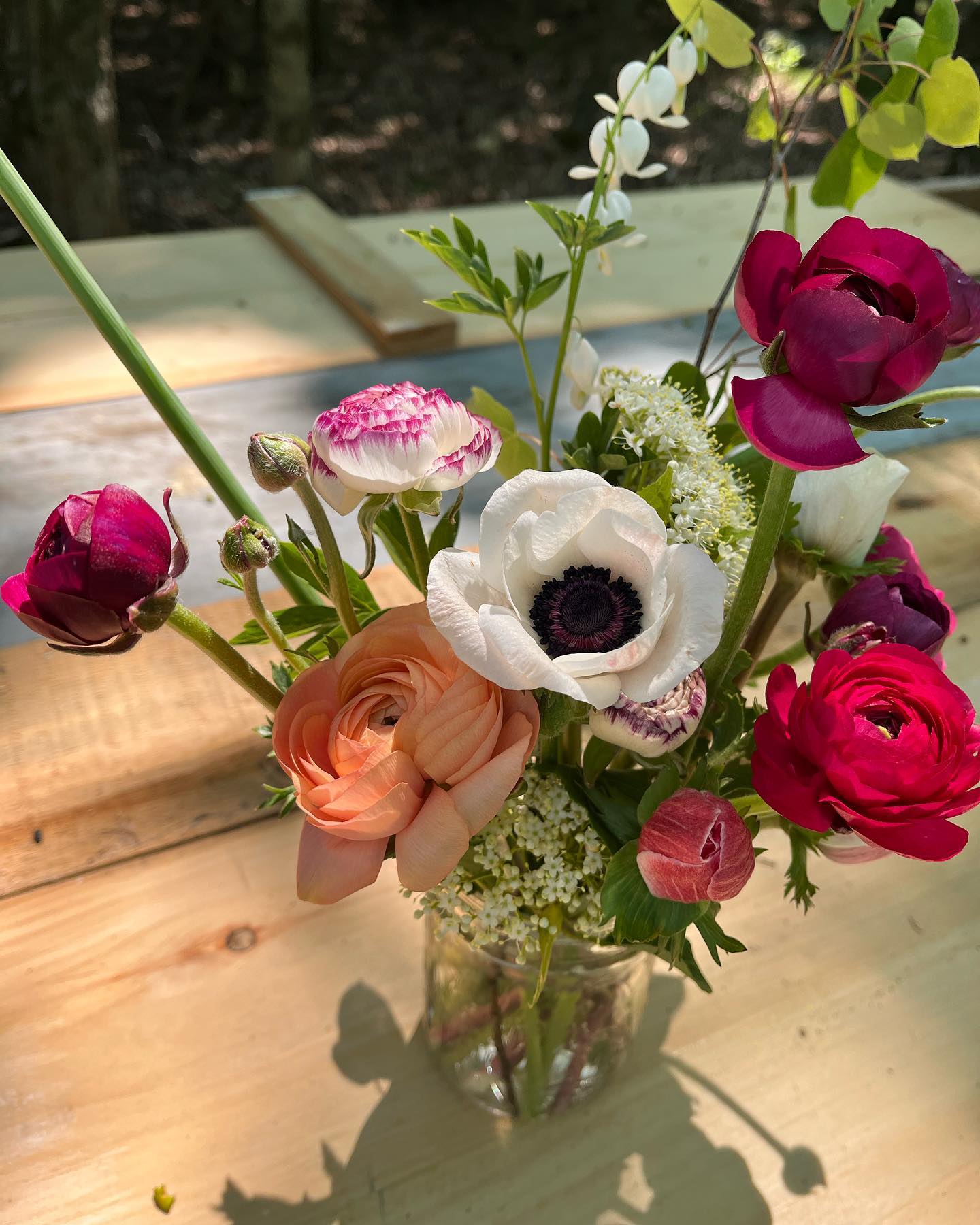 🪷 blooms of the week 🪷
We have some spring bounty available this week for your enjoyment. Jars brimming with beauty ~ $30 ~ order through our website or DM to claim yours. Pick up at our farm in Holland Centre, or order before 9am Friday for pickup Friday/Saturday in Flesherton, Markdale or Owen Sound.