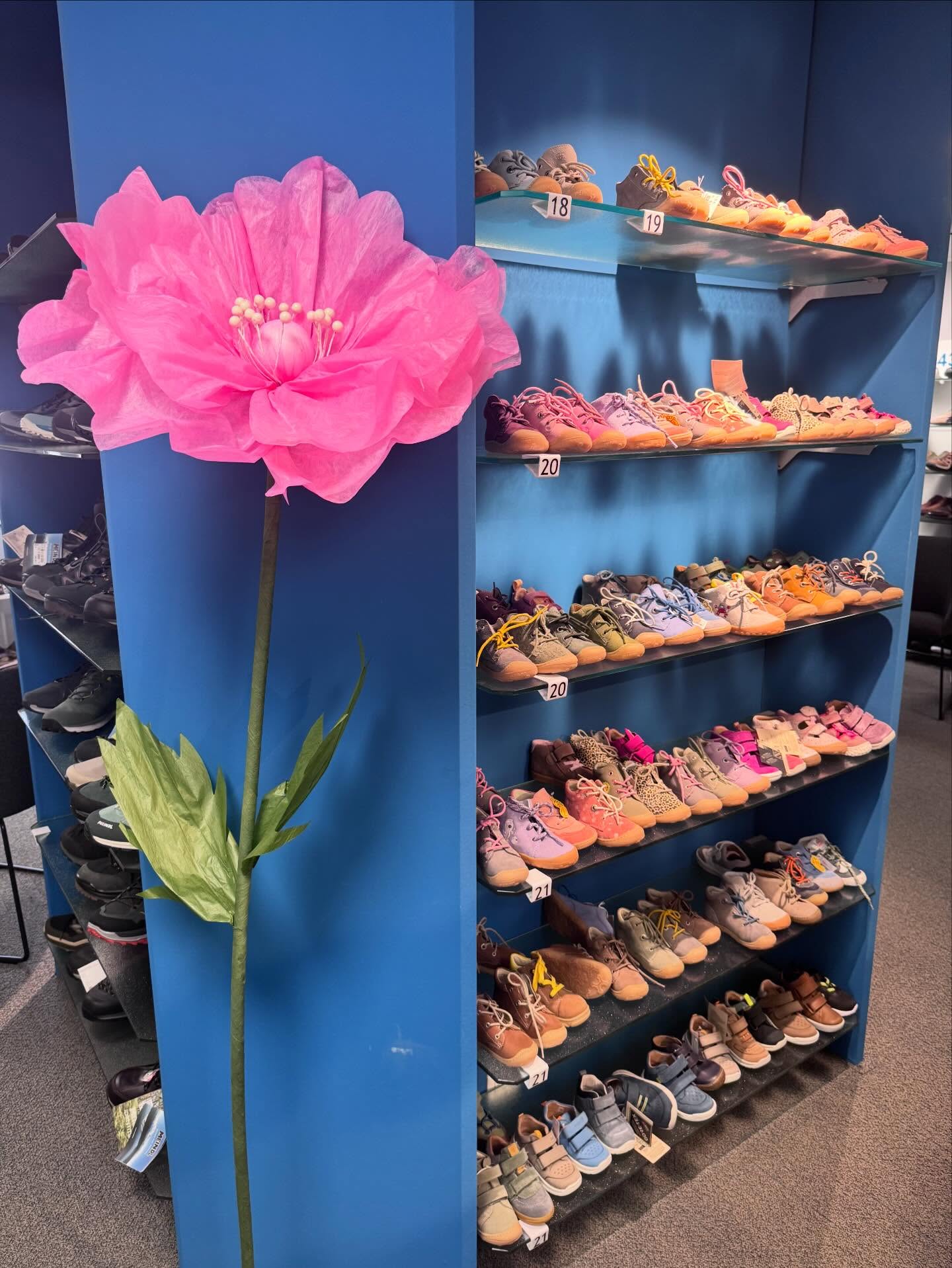 ✨ Neue Kinderschuhe sind da! ✨
Im Schuhhaus Moosbauer in Erding sind viele neue Modelle für unsere kleinen Entdecker eingetroffen! 💛
Ob Lauflernschuhe, bequeme Sneaker oder robuste Wanderschuhe – bei uns findet jedes Kind den passenden Begleiter für jedes Abenteuer.
Das Beste: Wir messen die Kinderfüße professionell und nehmen uns Zeit für eine persönliche Beratung, damit jeder Schuh perfekt sitzt. 👌
Kommt vorbei – wir freuen uns auf euch und eure kleinen Füße! 👶👟
#Kinderschuhe #Erding #SchuhhausMoosbauer #Lauflernschuhe #Kindersneaker