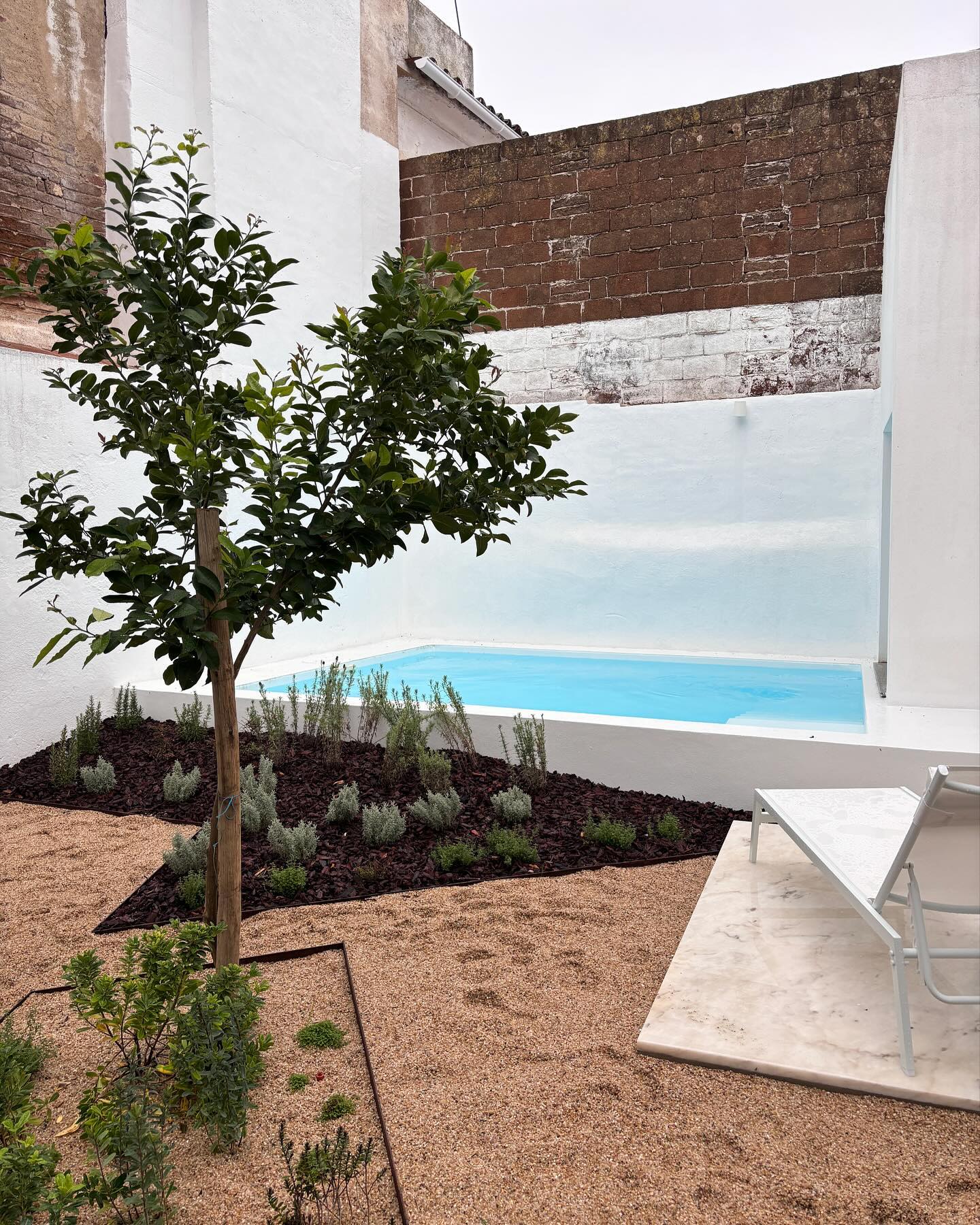 Jardins pequenos 🤍
#landscapearchitecture #privategarden #arquiturapaisagista #garden