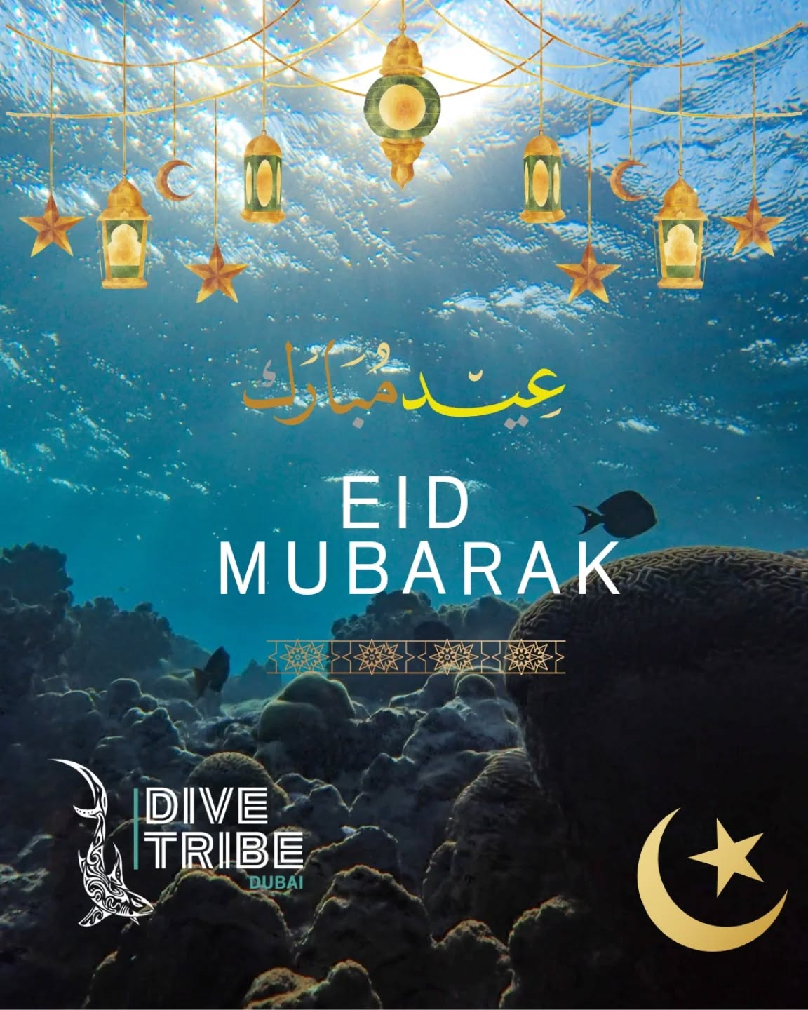 Eid Mubarak 🌙✨
From all of us at Dive Tribe Dubai, we wish you a celebration filled with peace, joy, and countless blessings. Just like the ocean, may your days be calm, your hearts be full, and your adventures endless.
Here’s to exploring more beauty together—above and below the surface 🤿💙
#EidMubarak #DiveTribeDubai #DubaiDiving #ScubaLife #OceanVibes UnderwaterWorld