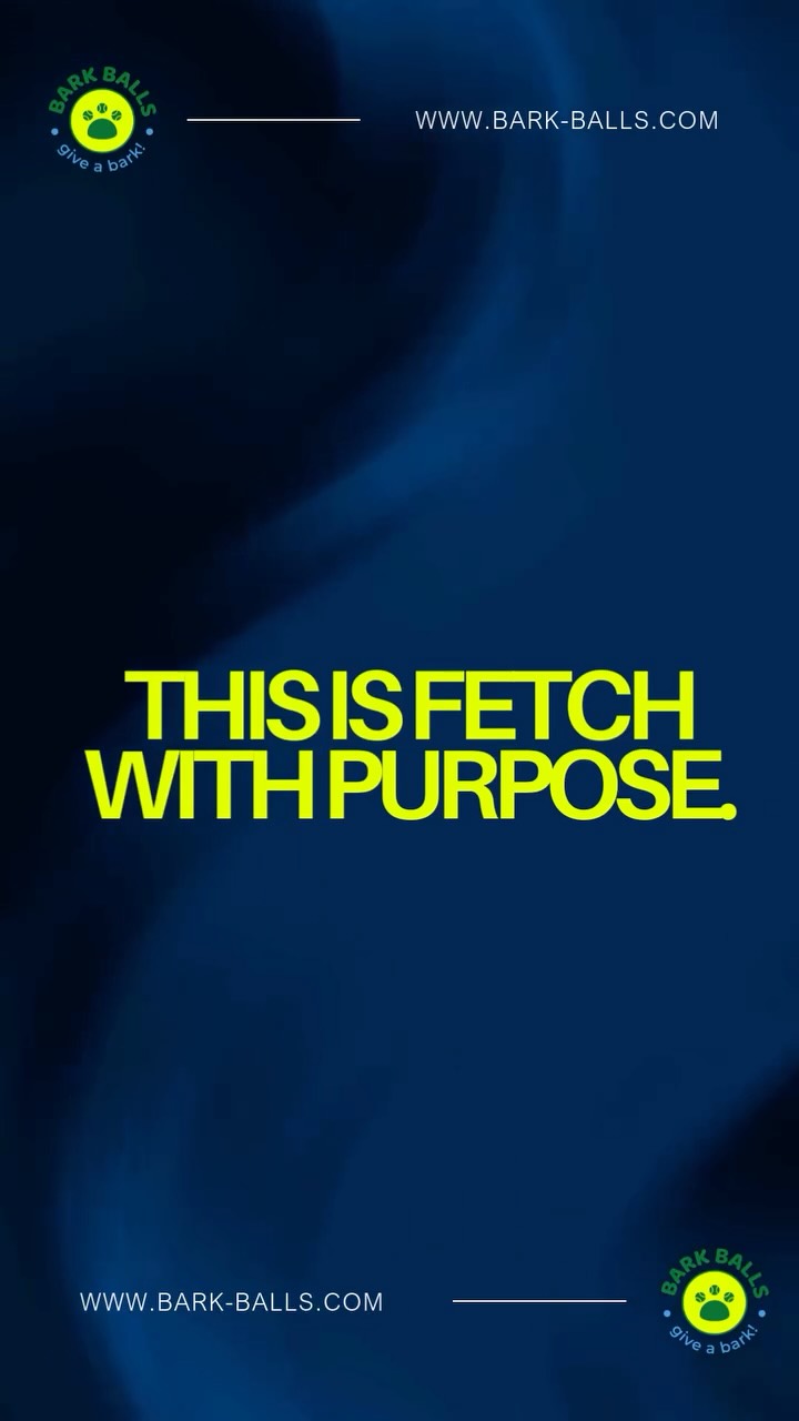 🎾 The stash reveal 👀🐶
Every dog has that secret collection… under the couch, behind the door, in the backyard bushes 😅
Good thing Bark Balls come in packs 😉
More balls = more fetch = more happy chaos 💚♻️
👉 Grab your own Bark Ball today: www.bark-balls.com
#BarkBalls #FetchTheFuture #DogLife #BallObsessed #EcoFriendlyDogToys #RecycledTennisBalls #SustainablePets