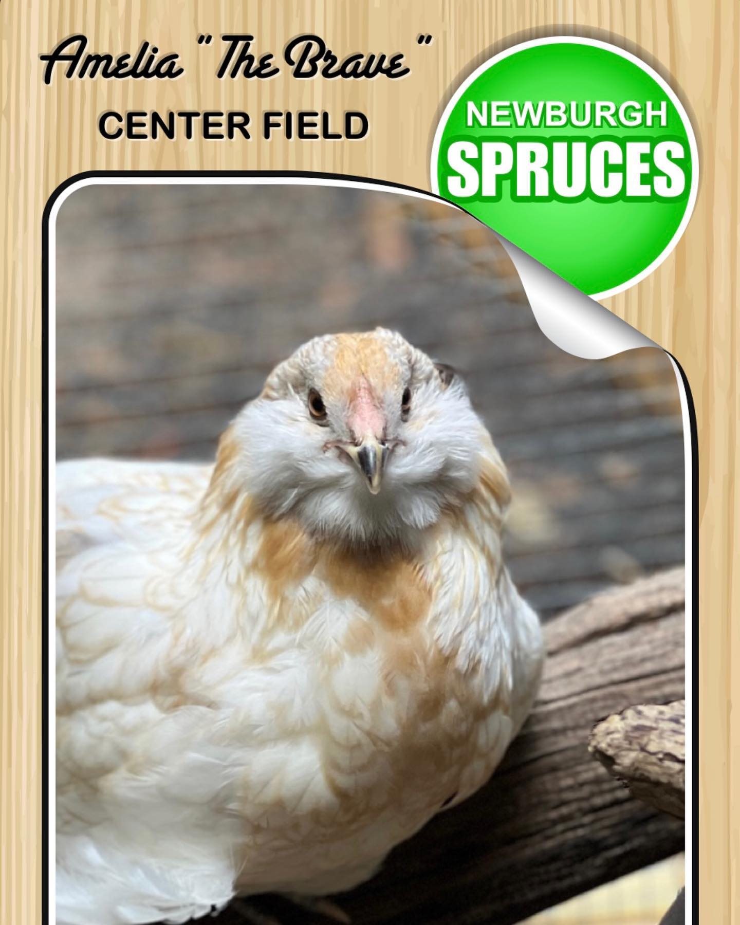 The Spruces Farm Team is ready to take the field!
🌲🐓🦖⚾️🌲
#cooperstown #aflockoftheirown #thedustlot #birddurham #fieldofpreens #kevhencostner #thehenhouse #atthespruces