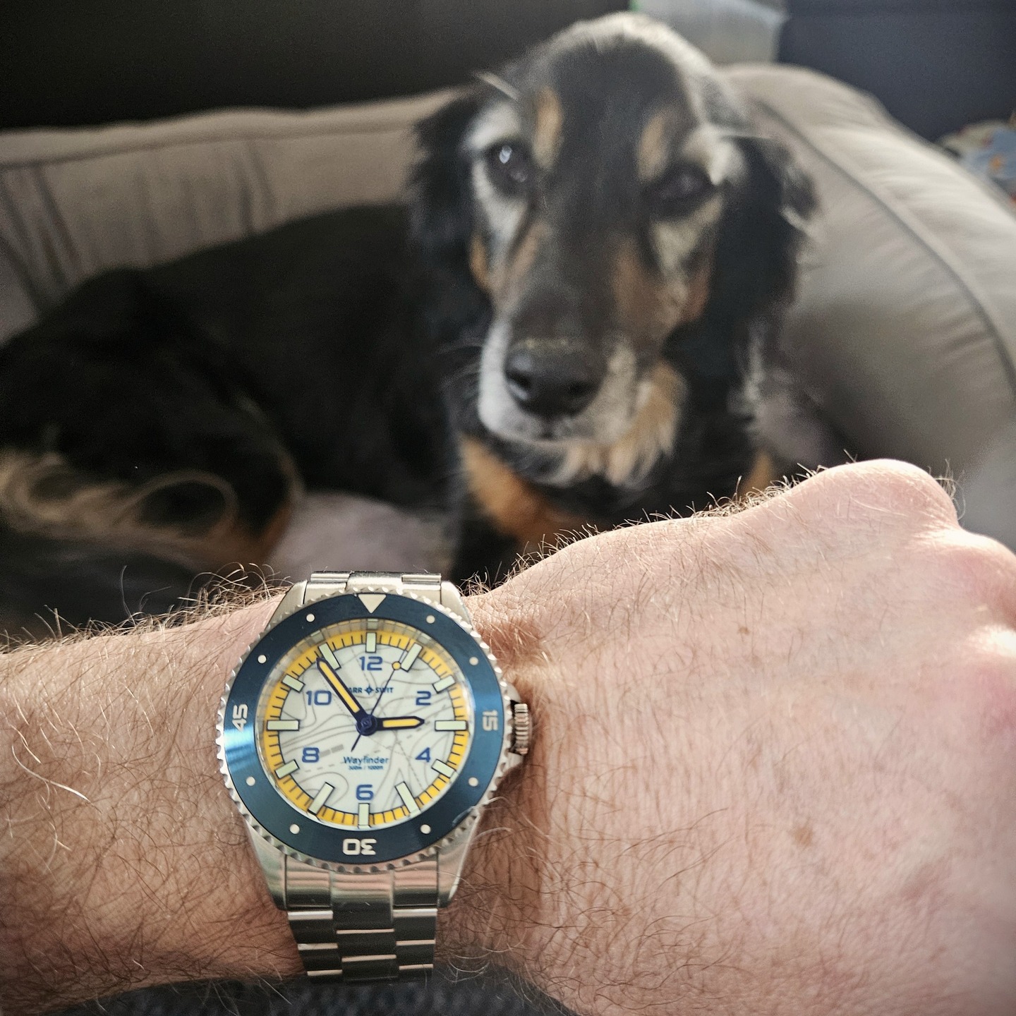 Posting some shots of my friend for the last 15 plus years for #watchdogweek
Hosted by:
@jeep99dad
@rolex_explorer2
@modernwatchguyatx
@watchberger
Be sure to ➡️ swipe through the photos to see Nala from puppy to old lady.
The 2n photo of us asleep on the couch cracks me up because you can see my ipod on the table. She was so small
⌚ Watches by 📷:
1) Wayfinder Diver 40 - Lume Dial
2) IWC Aquatimer White Dial
4) Seaplane Automatic Day Trip (Past IG post)
5) Seaplane Special Edition (Past IG Post)
#watchfam #watchoftheday #dogs #doglover