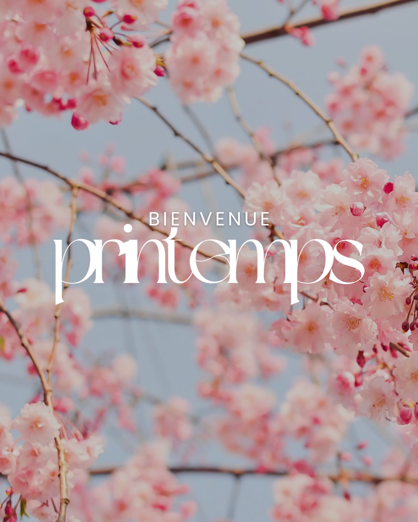Le printemps est arrivé… 🌸
Une saison de renouveau, de légèreté et de mouvement.
C’est le moment idéal pour :
✨ relancer l’énergie
✨ alléger le corps et l’esprit
✨ libérer les tensions accumulées durant l’hiver
✨ prendre soin de soi autrement
Les massages, la réflexologie, la sophro-relaxation et la naturopathie accompagnent naturellement cette transition de saison 🌿
Et si vous faisiez du printemps une vraie renaissance intérieure ?
#printemps #renouveau #bienetre #energiepositive #reconnexionasoi
