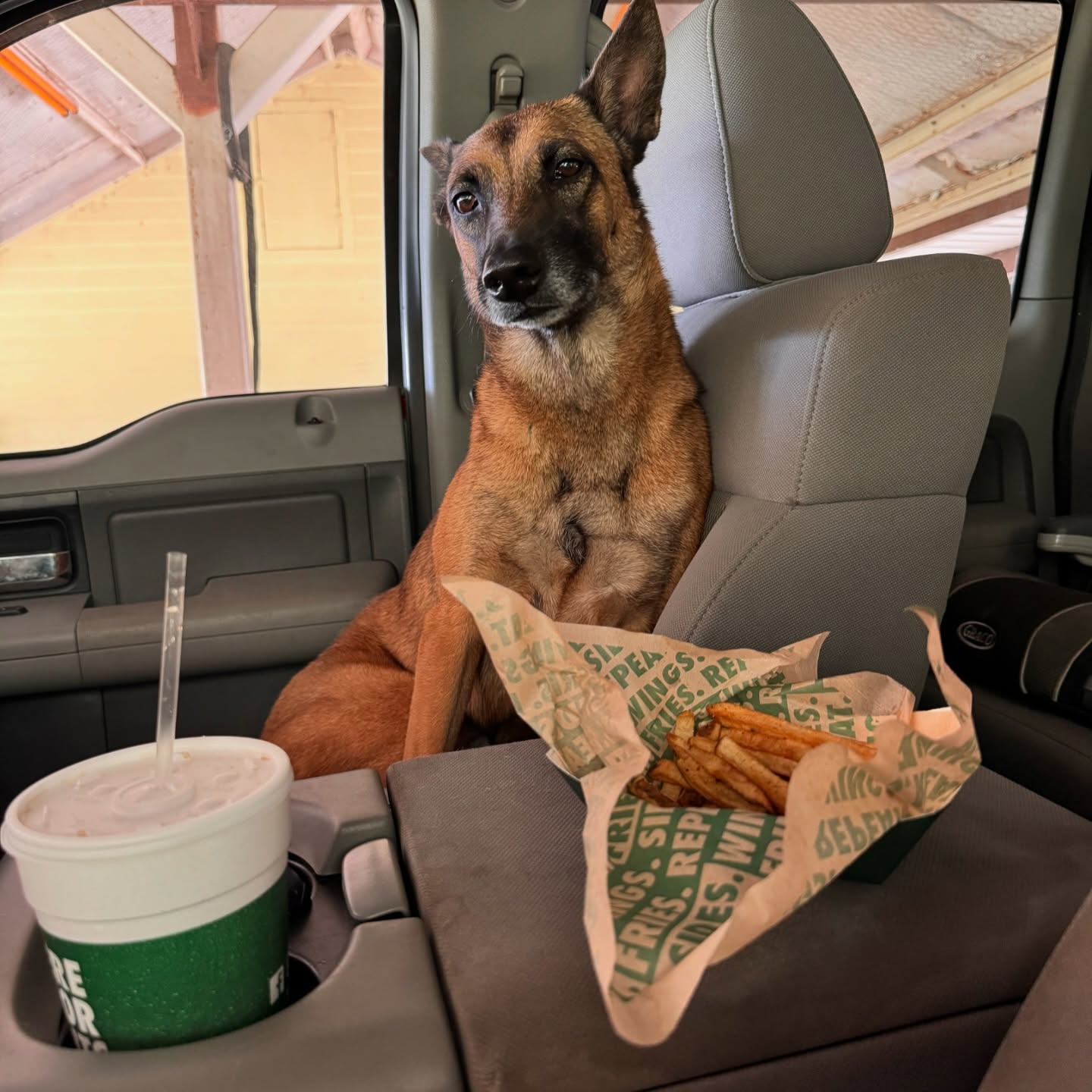 Ran inside to grab a few things and she didnāt eat my fries. Wish your dog was this well behaved? Give me a call.