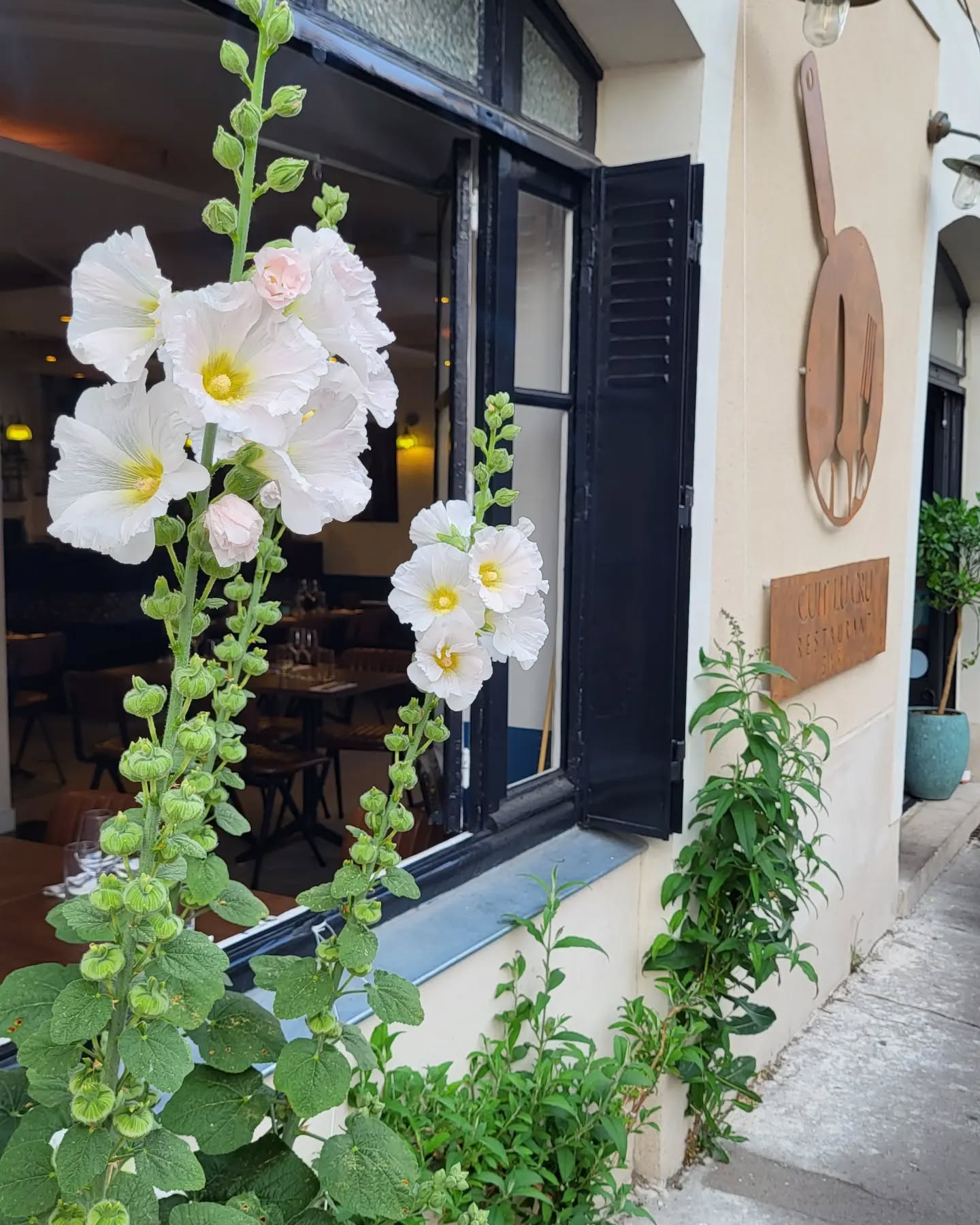 Des fleurs=des pollinistaeurs