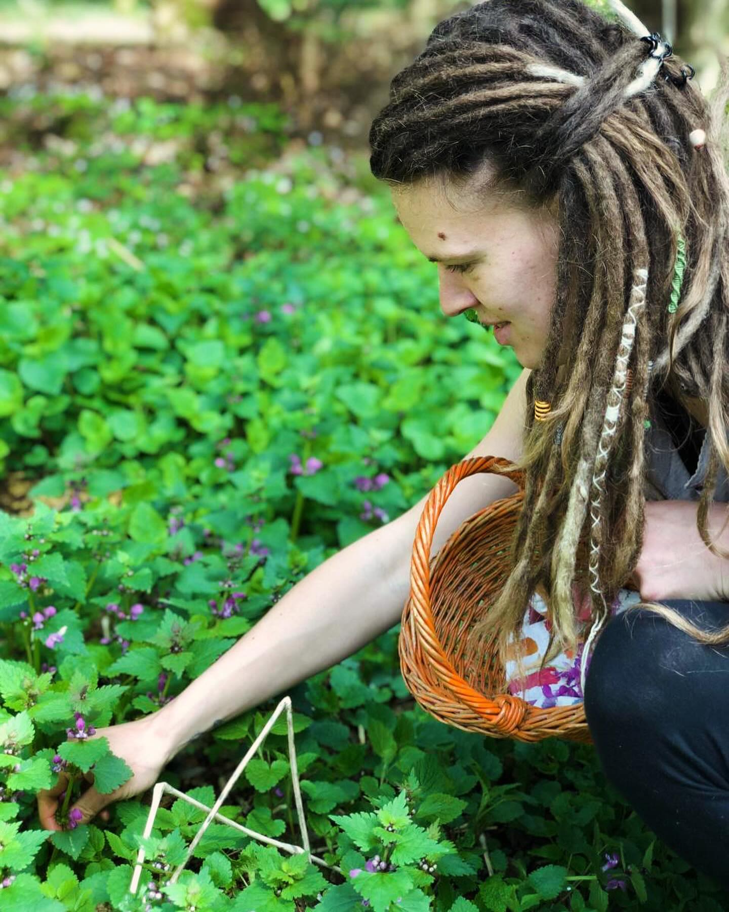 Brandnetels, paardenbloemen, zevenblad, kan jij ze omarmen? Wilde kruiden zijn vaak ongewenst, maar wist je dat ze eigenlijk heel gezond en ook nog eens heel lekker zijn?
Verena @naturhexe_verena neemt je mee op een wandelavontuur hier op Huize Blokland, op zoek naar eetbare wilde kruiden, met aansluitend een heerlijk gezamenlijk bereid en uitgebreid diner. Mét de geplukte kruiden uiteraard.
Je gaat naar huis met veel kennis, een gevulde maag en meerdere leuke recepten!
Datum: Vrijdag 19 juli, 15 uur tot ong 19 uur
(bij spontane gezelligheid mag je blijven hangen!)
Bijdrage: 44 - 66 euro
Aanmelden kan via een dm of de website (link in bio)