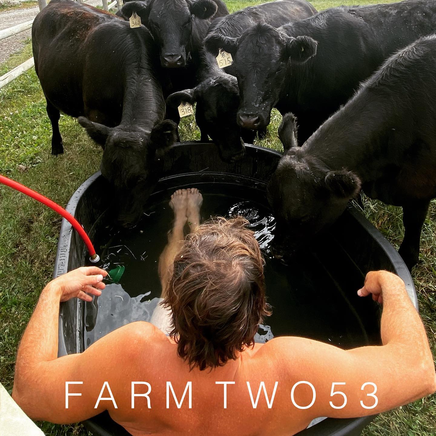 It’s poll day today - who did it better? Swipe ⬅️
TT or Beth? Please add your comment below…
#yellowstone
#imbiasedbutvotettalltheway
#faveshowever