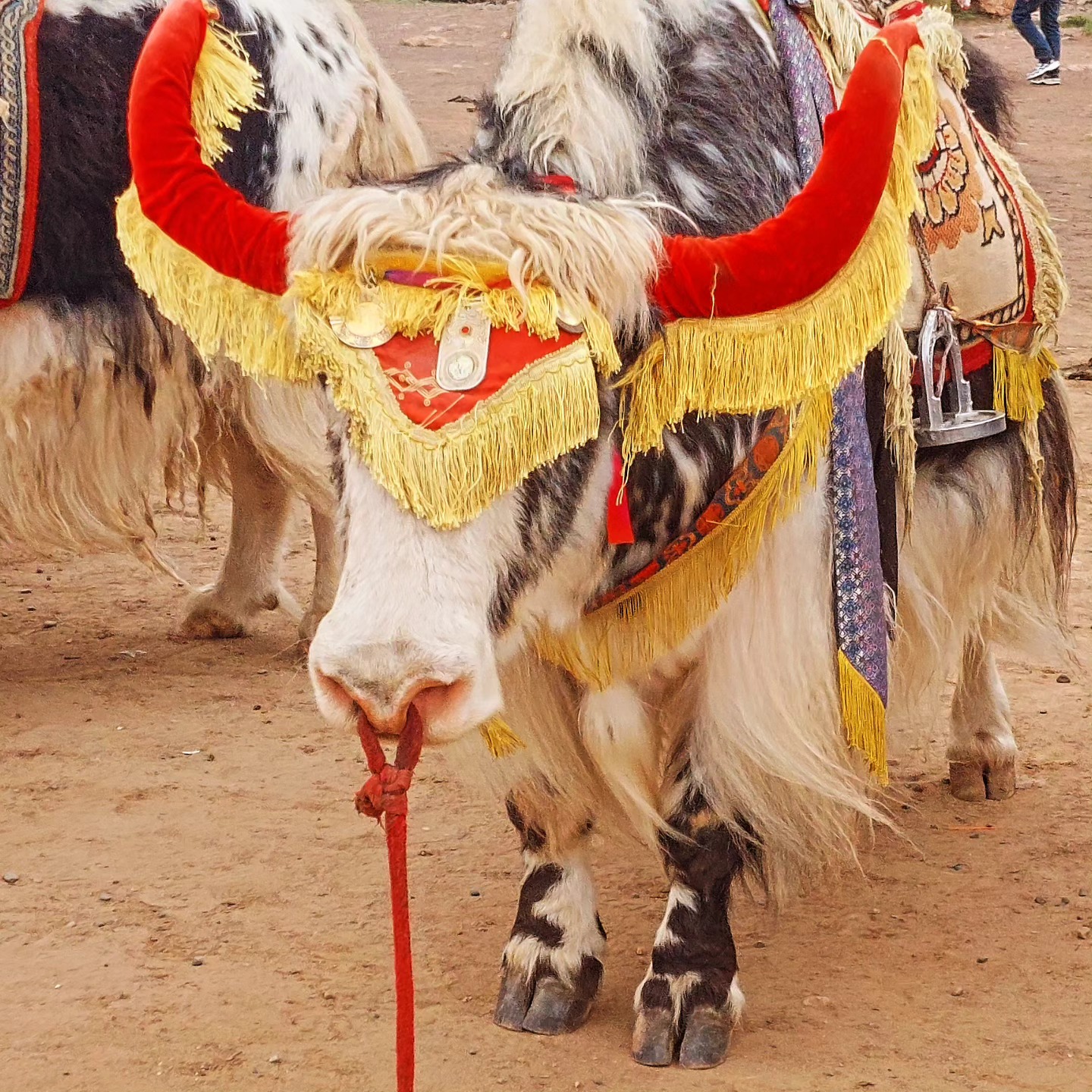 ....without words....