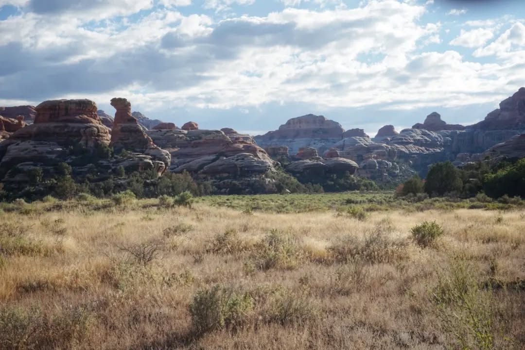 Hayduke Day 6 || Needles Campground to Upper Salt Creek Canyon
Ho boy, Salt Creek. I have some words. Online I saw nothing but praise for the area, with the only drawback that backcountry permits are thus competitive. The solution of course is to complete the 27 miles from Needles Outpost to the head of the canyon (just outside the park boundary) in a single push. Of course this meant I wouldn't have time to explore all the amazing historical sites along the way (the canyon is full of thousand-year-old pictographs and dwellings), but I figured a quick tour would be better than not seeing it at all. And with all the day's miles along roads and then National Park trails, I figured the distance wouldn't even be that bad. That was the plan.
First the good news. For any Hayduker considering a fall hike, you'll probably be able to secure backcountry permits, eliminating the need for the long day. I only saw one couple all day and they said permits were easy. Unfortunately, the trail hasn't seen maintenance for some years and it's pretty rough. On any other part of the Hayduke I probably wouldn't have thought twice, but I had to hunt for trail and push through brush for far longer than I would have ever expected for a popular trail in a National Park. Pants are highly recommended (by my bloody shins). Also, there's no water until Upper Jump spring, and then finally at Kirk Spring. By Hayduke standards that's pretty good, but don't expect a lush valley like the (spring condition?) descriptions gush about online. For reference, I hike fast and had to put in a 13 hr day with minimal breaks. End rant.
It's still very nice out here though, as the pictures show whenever the trail cleared and I could look up. Fun fact: the 'All American Man' pictograph (9) was thought by many to be a recent fake due to the red white and grey-blue colour scheme, but it was carbon-dated to the 1400s!
#thruhike
