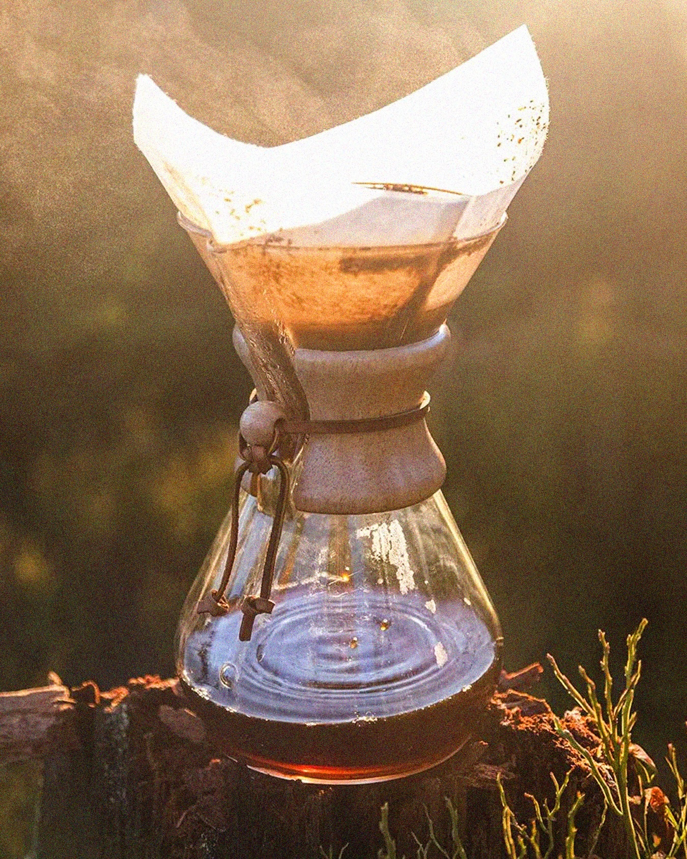Tan perfecta que pertenece a un museo. 🏛️✨
La Chemex Classic no es solo el método favorito de los baristas, es una pieza de diseño industrial premiada, incluida en la colección permanente del MoMA de Nueva York.
¿Por qué despierta tanto deseo?
Pureza absoluta, su cristal de borosilicato no absorbe olores ni residuos químicos.
El secreto del filtro, sus filtros de alto gramaje eliminan las grasas y sedimentos, entregando una taza brillante, limpia y con una claridad de sabor que no vas a encontrar en ningún otro método.
Diseño icónico, el collar de madera pulida y el lazo de cuero son el equilibrio perfecto entre calidez y sofisticación.
Ya sea en su versión de 6 o 8 tazas, la Chemex transforma el acto de preparar café en una ceremonia visual y sensorial.
Es hora de elevar tu barra de café al nivel de una galería de arte.
¿6 o 8 tazas? Elegí la tuya en el link de nuestra bio. 🔗
#Xpecialty #Chemex #CoffeeDesign #MoMA