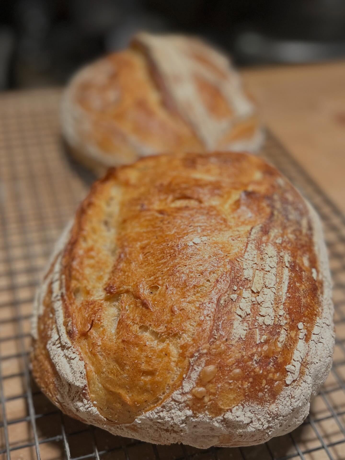 Testing the best flour in Istanbul so far- 14% protein, -not bad 😍 - are you in Istanbul and want to learn Sourdough Bread Baking hands-on ? DM me or comment “Bake”