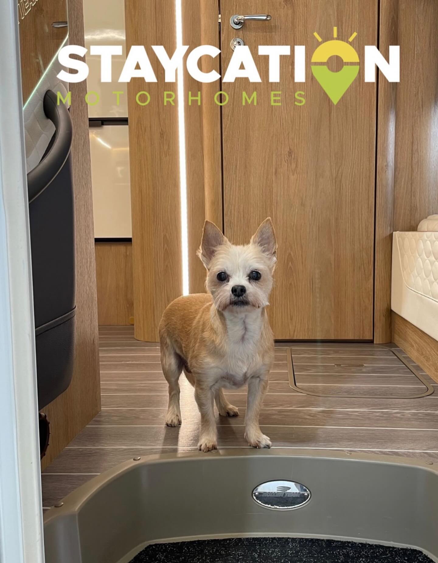 With Staycation Motorhomes, your furry co-pilot gets to experience the adventure too - racing across Yorkshire beaches, sniffing new trails in the Peak District, curling up in the van after a long day exploring.
We welcome dogs because we know they’re family, and family adventures are what we’re all about 🐾 🚐
Our vehicles are spacious, impeccably cleaned between every hire and ready for you AND your four-legged friend.
Book your dog-friendly escape via the link in bio.