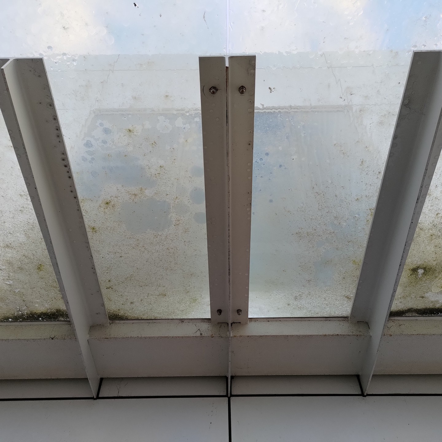 Change the perspective and stimulate the right impression of your business.
#renewyourview #windowcleanersdirect #tullamarine #townsville #cairns