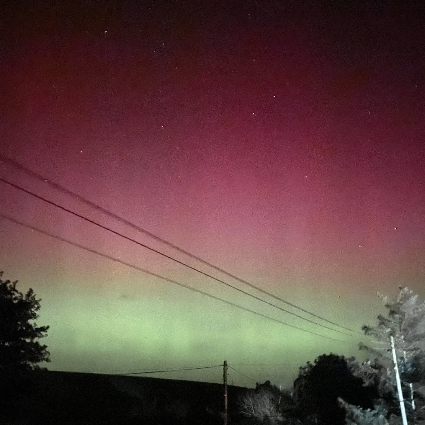 Some amazing sights of the aurora boreal is captured in Mordington and Lamberton. Thanks to Andy for sharing his photos of Mordington!
Did you get a chance to see this spectacular light show?