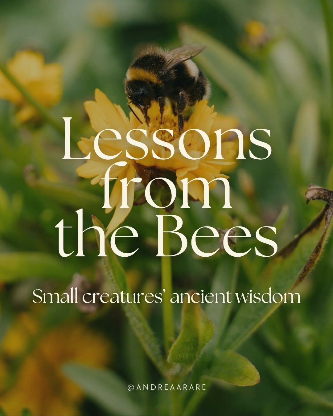 Bees follow seasons, light, and natural cycles.
They trust the rhythm of life.
Perhaps we are also meant to move with the seasons rather than against them.
What might the bees be teaching you right now?
About presence. About community.
About the beauty of small, consistent acts.
Swipe ➡️ to learn more 🐝
#bees #naturewisdom #mothernature
