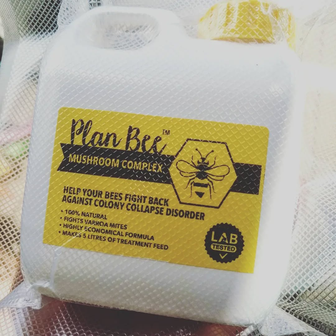 Plan Bee Contains a powerful blend of antiviral mushroom extracts - Fomes fomentarius, Ganoderma applanatum and Trametes versicolor.
Our bee feed supplement protects your bee hive from colony collapse due to deformed wing virus (DWV) and other viruses caused by Varroa mites.
#planbee #varroa #dwv #bees
#bee #beetreatment #bbka #mushroomextract
#britishbeekeepersassociation
#trametesversicolor
#ganodermaapplanatum
#formesfomentarius #apiary #savethebees #honeybees #colonycollapsedisorder