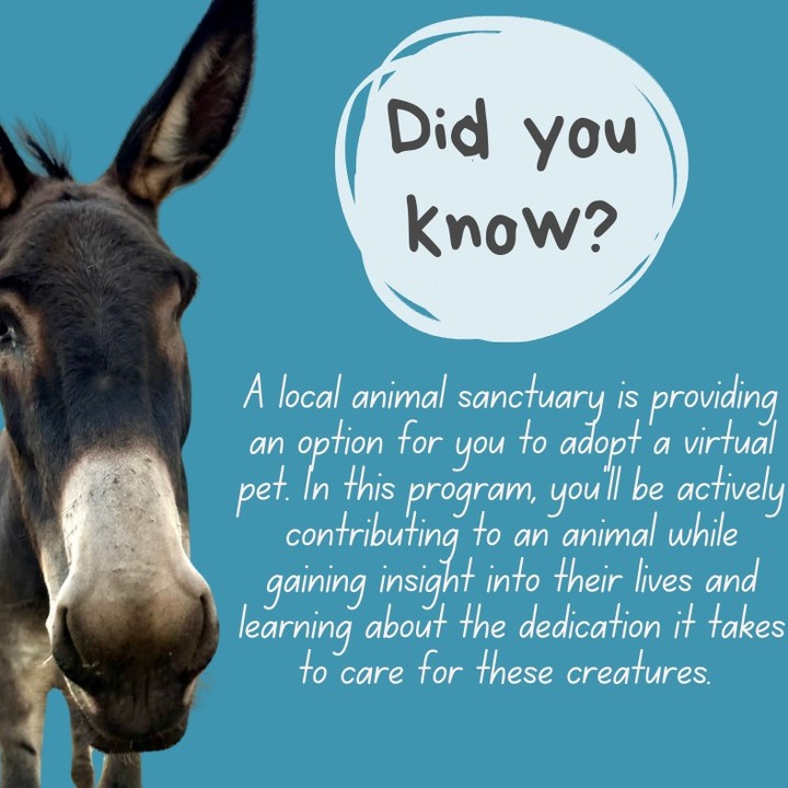 Working on a new idea! Virtual Pet Adoption! This would be an awesome complementary program to local teachers, homeschoolers or for anyone with an active interest in animals. In these pictures, you'll see examples of informational sheets that will come to you each month for different animal ambassadors.