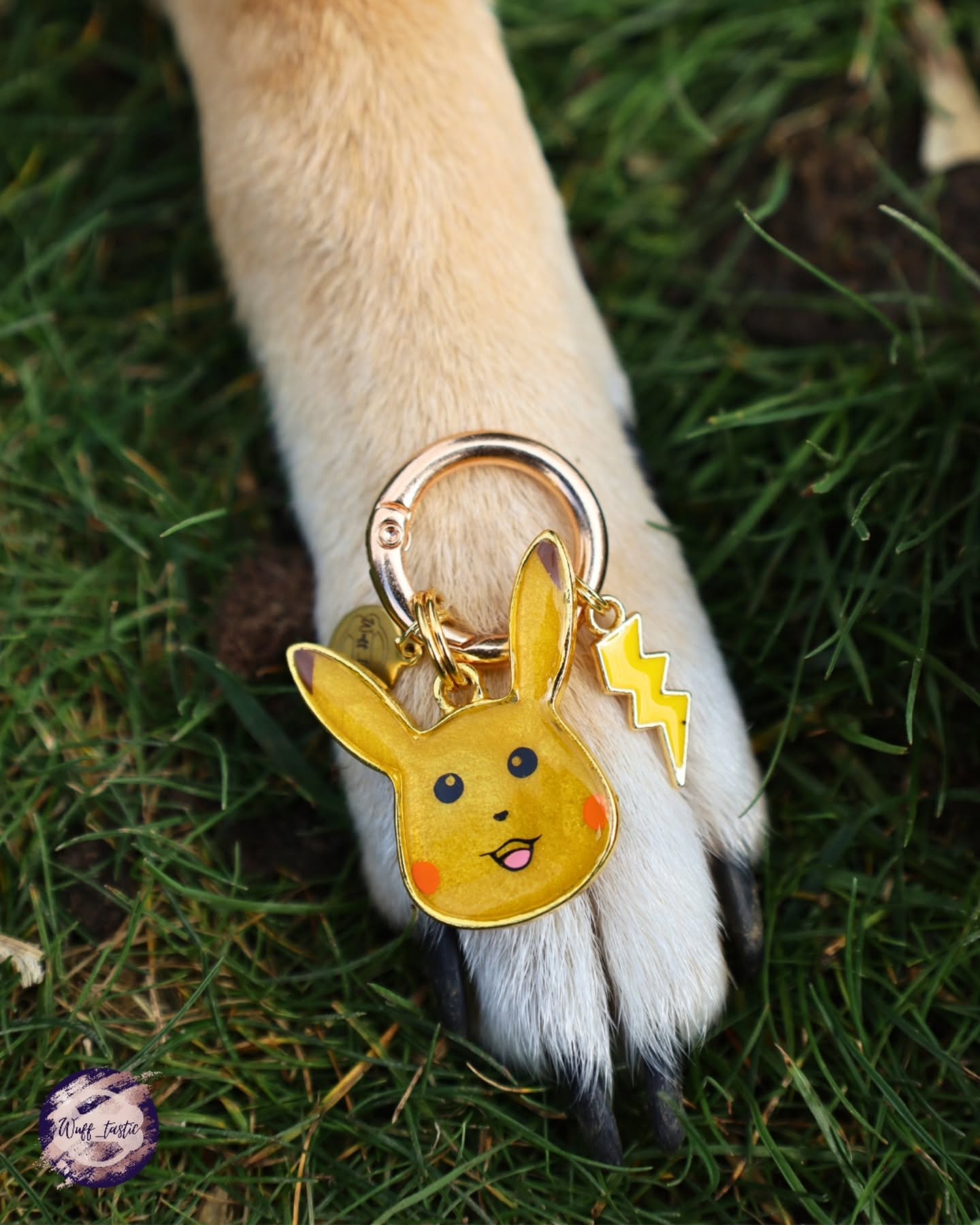 "Wuffichu" braucht keine großen Worte 🤭
📸 @shiba_kazuki.pawventures danke für das Foto 🥰
#kindheitserinnerungen #blitz #hundeliebe