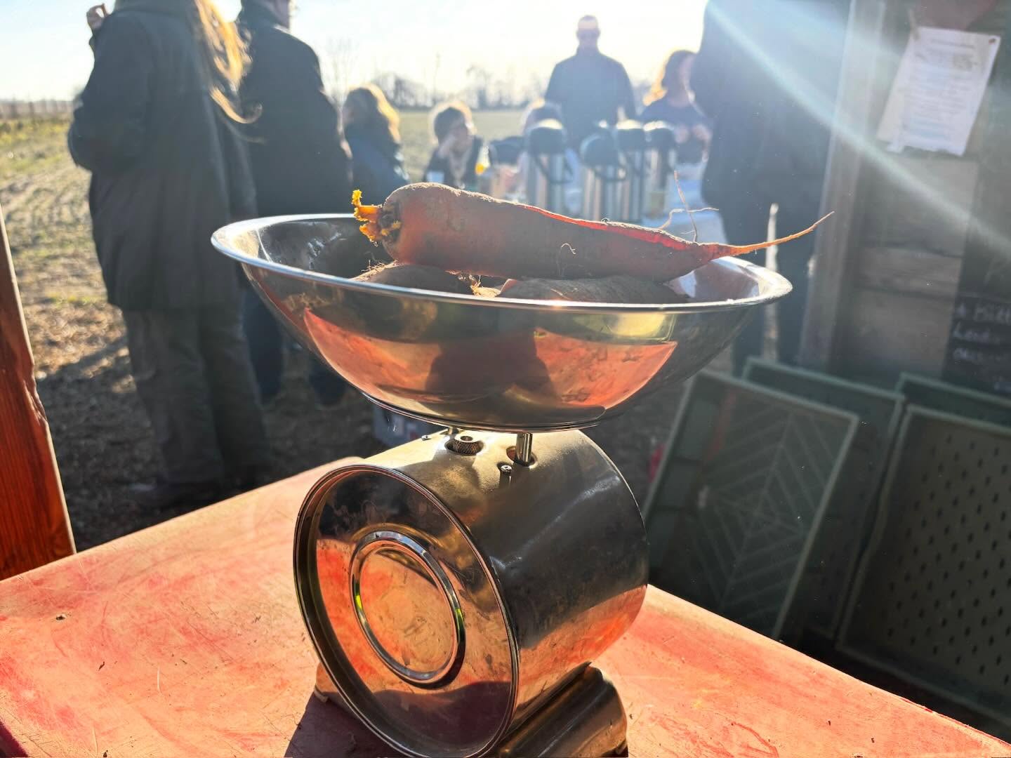 Unser Lagergemüse ist immer noch super fotogen und schmeckt sooooo gut. Selbst die sensiblen Süsskartoffeln halten sich hervorragend. Ein großes Dankeschön ans Gartenteam und die AG Lagerung für ihre großartige Arbeit, die das möglich macht.