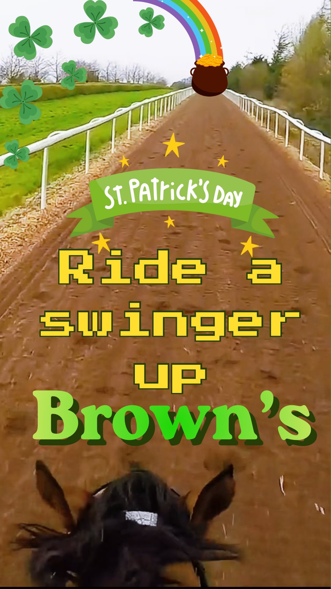 No parade pace here ❌🌈☘️ Happy St Patrick’s Day ☘️🌈🍯 #breezeup #racehorse #stpatricks