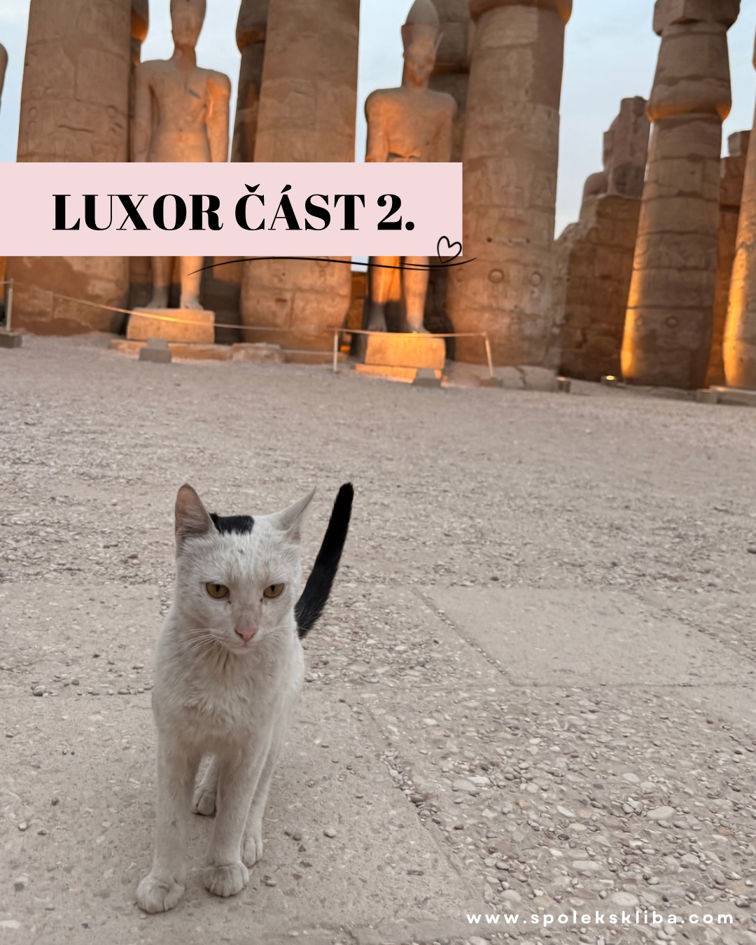 Posíláme další pozdrav z Egypta, ale musíme se přiznat – naše srdce dostávají pořádně zabrat. Je neuvěřitelně těžké se tu dívat na utrpení zvířat, které vás provází v podstatě na každém kroku. Je to úplně jiná kultura, jiný svět a my se s tím vnitřně pereme každou minutu. 🌍🥀
Naše úžasná průvodkyně Walaa se o nás stará naprosto ukázkově a vzala nás i za historií. 🏛️ Chrámy Luxor a Karnak na vás doslova promlouvají. Jsou to neskutečné monumentální stavby, u kterých si člověk připadá úplně malinký. Ta energie a historie je nepopsatelná! ✨
Co nás ale úplně fascinuje (a zároveň bolí), je ten místní kontrast. Na každém rohu vám hrdě nabízejí nádherné sošky kočičí bohyně Bastet... ale hned vedle té naleštěné sošky se v prachu krčí její živý předobraz.. 💔
Naštěstí jsou zde zvířata neskutečně přátelská! To nám dává aspoň malou naději, že je tu místní snad nebijí. Kromě nás se o ně snaží starat i další turisté a je vážně hezké vidět, že aspoň některým lidem nejsou tihle zapomenutí chlupáči jedno. 🙏🍲
Co nás ale bolí nejvíc, je pohled na kočáry tažené koňmi. 🐎 Je tu spousta turistů, kteří se rádi projedou městem, ale ty pohledy na koně, kteří se sotva vlečou a melou z posledního, jsou zdrcující. Nechci být jen negativní, ale je hrozně těžké soustředit se na krásy Luxoru, když kolem sebe vidíte tohle všechno. 💔
Jsme tu proto, abychom pomohli aspoň těm kočičím duším u Walaa, ale máme v hlavě a srdci pořádný zmatek emocí. Egypt je nádherný, ale zvířata tu prožívají svůj vlastní „exodus“ každý den. 🕯️🐾
Děkujeme, že na nás myslíte a posíláte energii. Zítra vám ukážeme víc z útulku, kde se dějí ty opravdové zázraky! ✨
Terka ze Šklíby 🐾