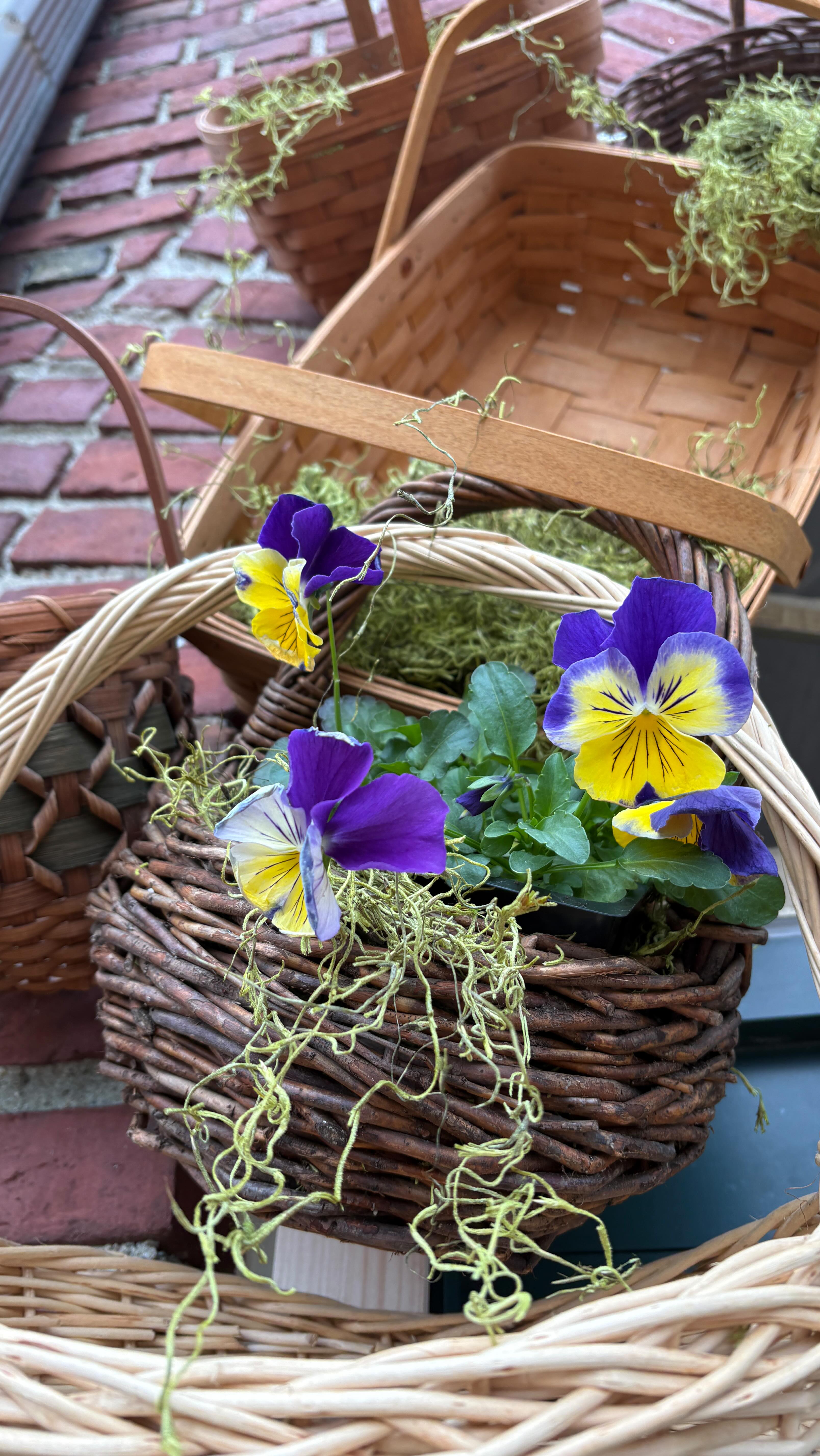It still feels like winter around here but good things are coming -like pansies and daffodils!
And of course, more workshops at Pencil & Wool
🌼🌸
✏️ 🐑