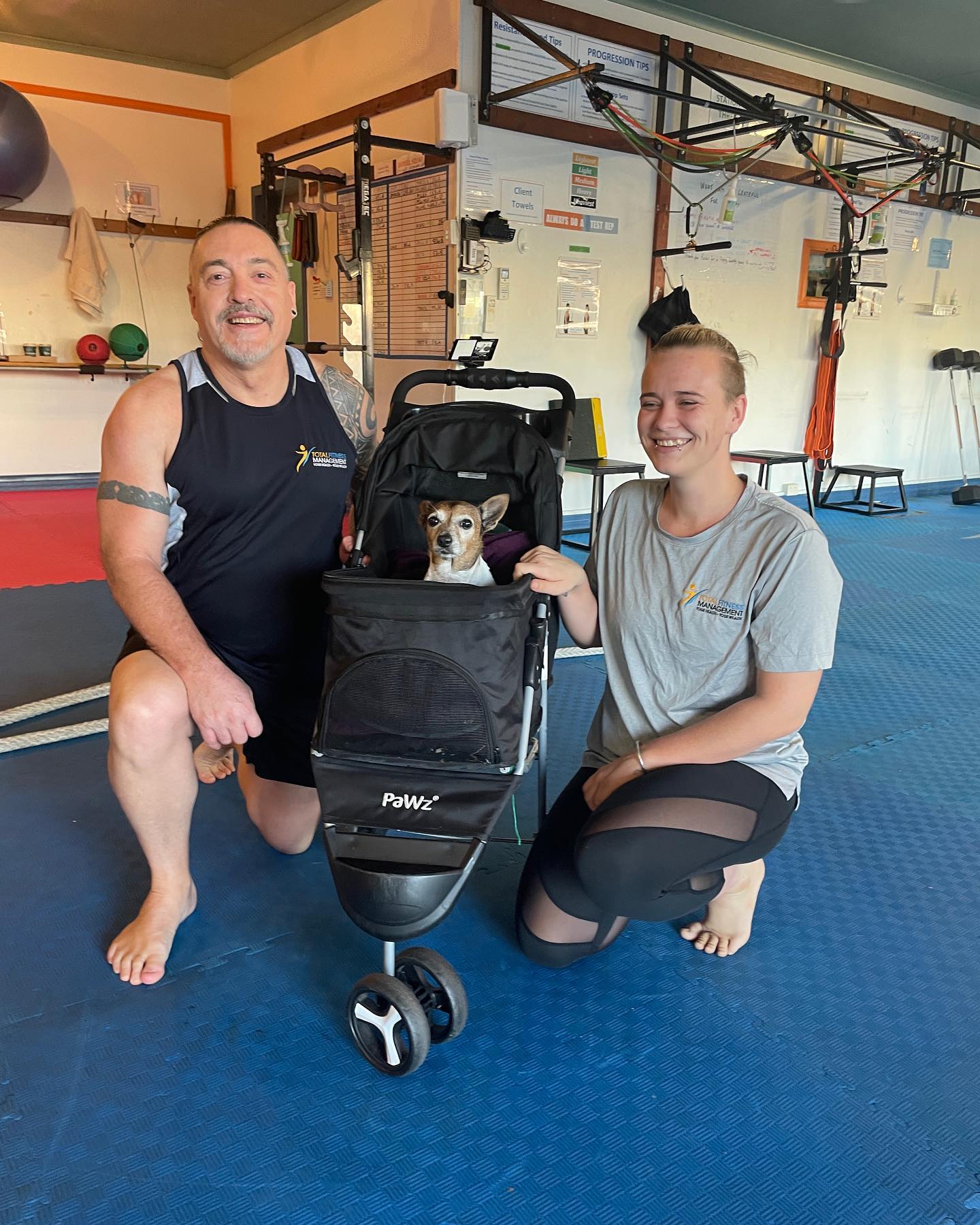 Family Training @tfmcairns Everyone is welcome. Jindy brings warmth to the studio during early morning sessions. #cairns #fitnesscairns #buddypt #dog #feelgood #exercise #exercisedog #motivation