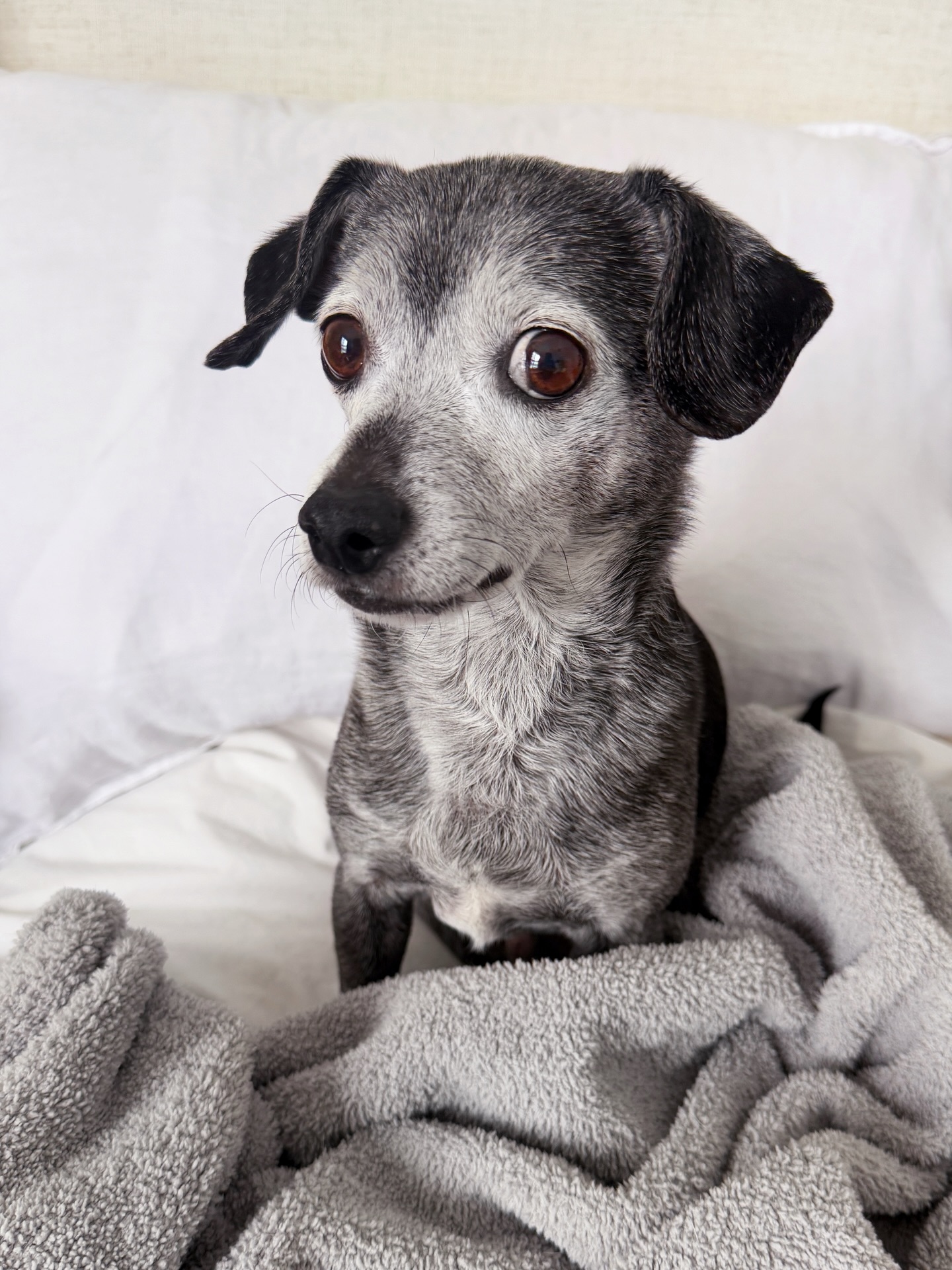 When someone wants to split dessert. #getyourown