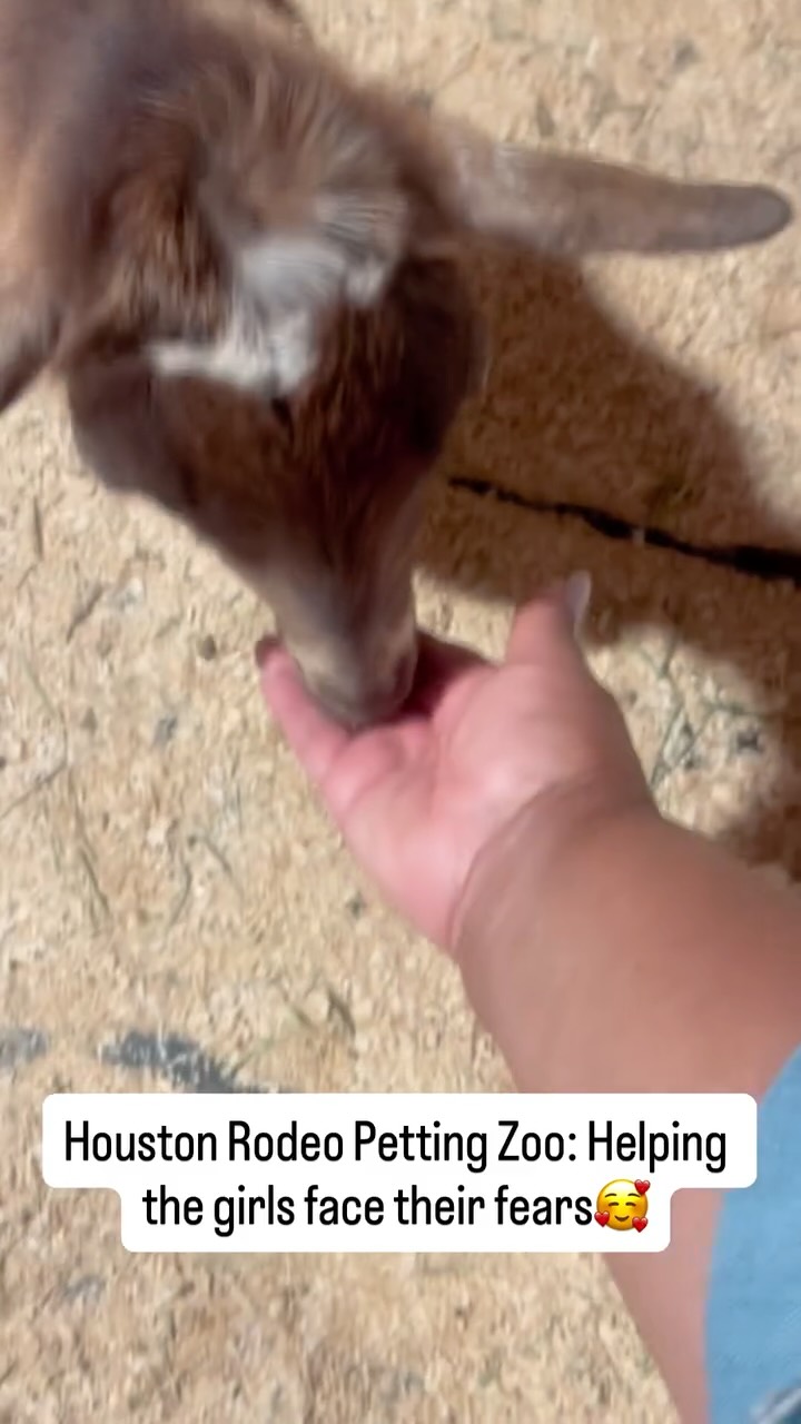 One thing about me …I will face my fears head on to help others overcome theirs. Not all of the girls wanted to enter the petting zoo nor feed the animals.
As we entered a few of the animals jumped on us to get the food, I allowed the staff to calm the girls and move the animals. We kept going as I demonstrated feeding the animals and encouraged them to do the same.
As you see in the video, Layah did it! She fed them babies🥰. I was proud of her🙌🏾💕
We truly can do anything once we get focused! Our minds are powerful tools. We often think of the worst case scenarios. I challenge you to think of the BEST possible scenarios this week! Watch the difference this will make on your day! #positivemindset #mondaymotivation #empowerment #joy